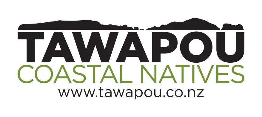 logowithwebsite.jpg