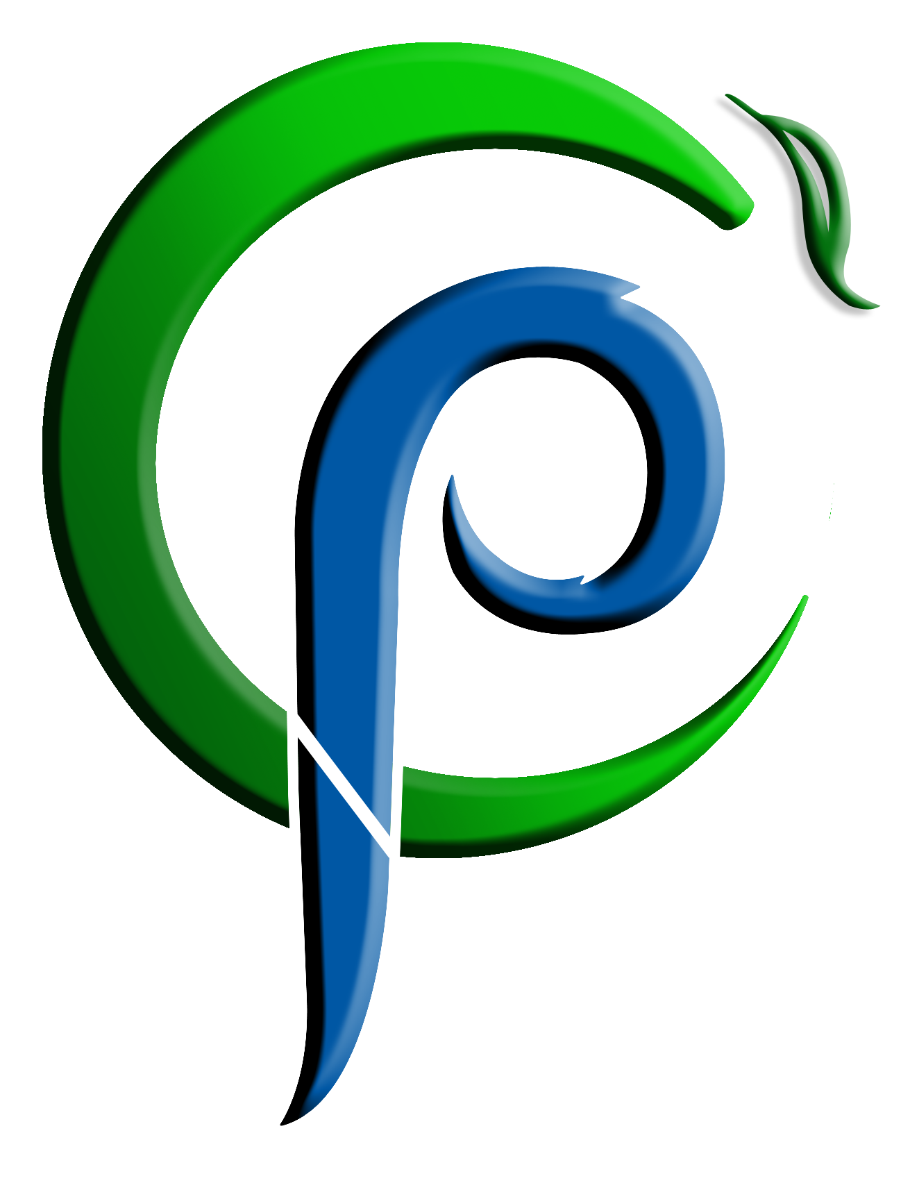 cnp_Logo_final medium white fringe.png
