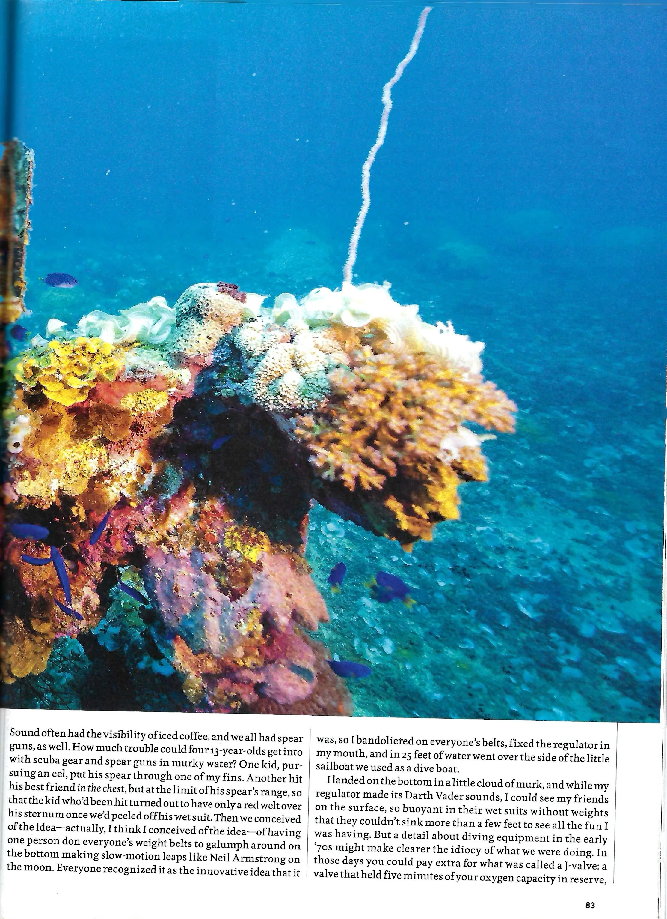 Micronesia Hemispheres_Page_6.jpg