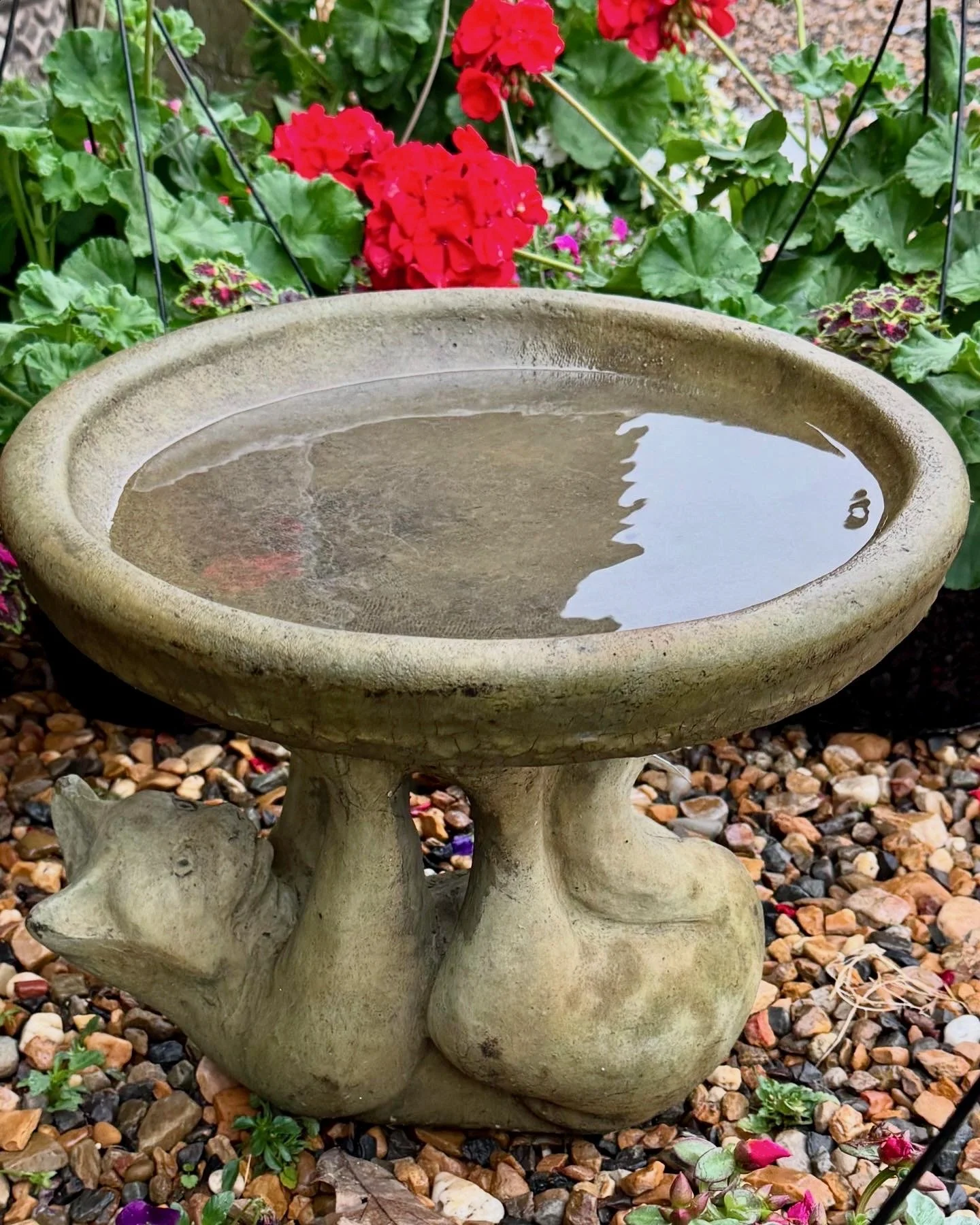 A stone birdbath in a garden with colorful flowers and greenery, with water in the basin.