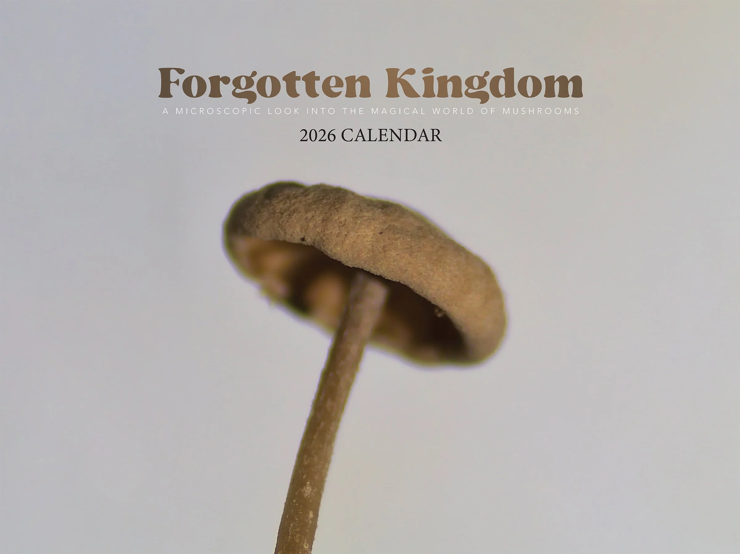 Cover smaller.jpg