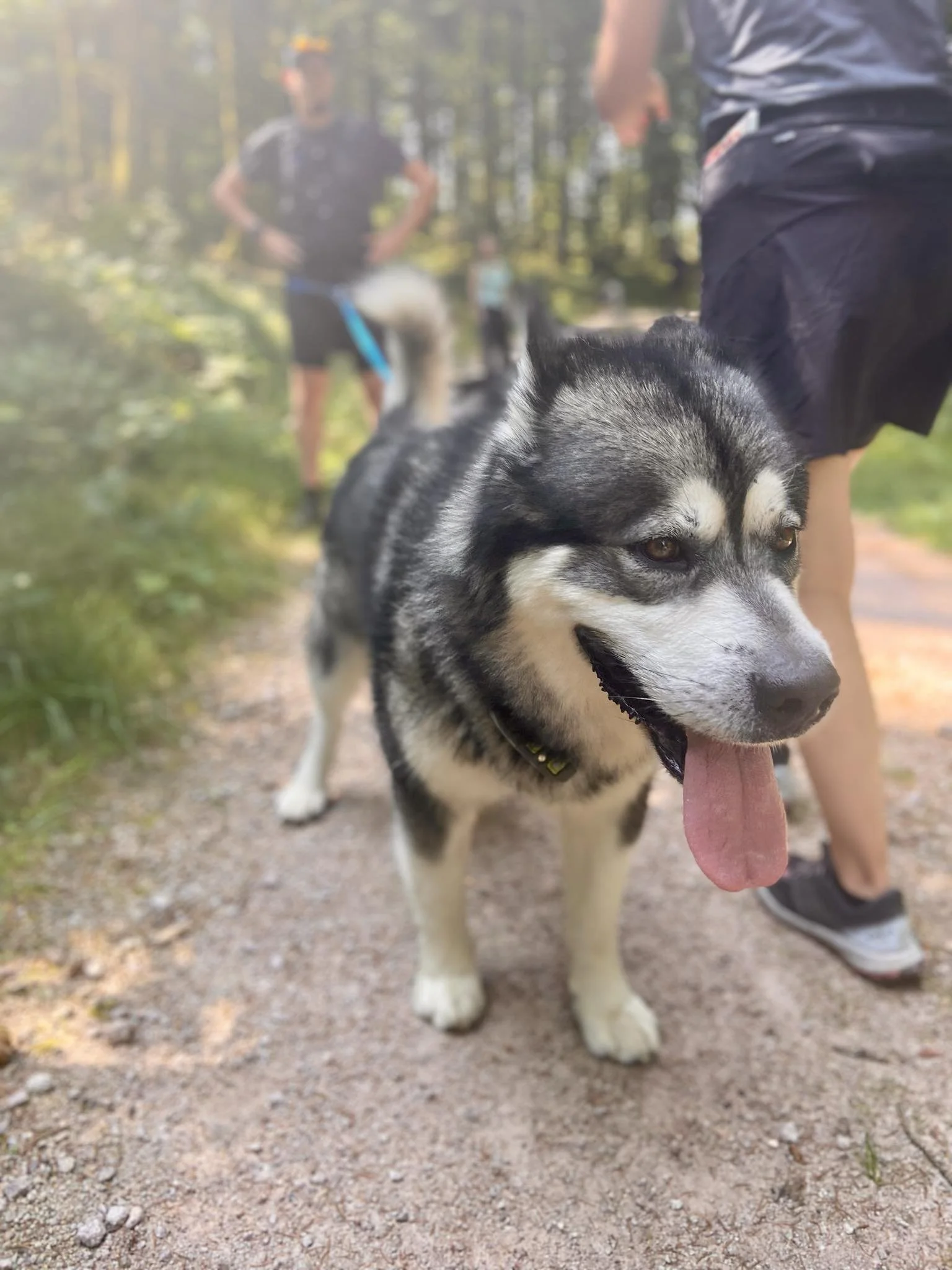 Messenger_creation_C05D3756-2829-42C7-87C8-7715621C975C.jpeg
