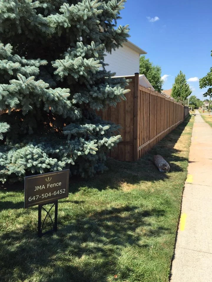 Wooden fence lining a sidewalk with a large evergreen tree and a sign reading 'JMA Fence 647-504-6452' on a grassy area.
