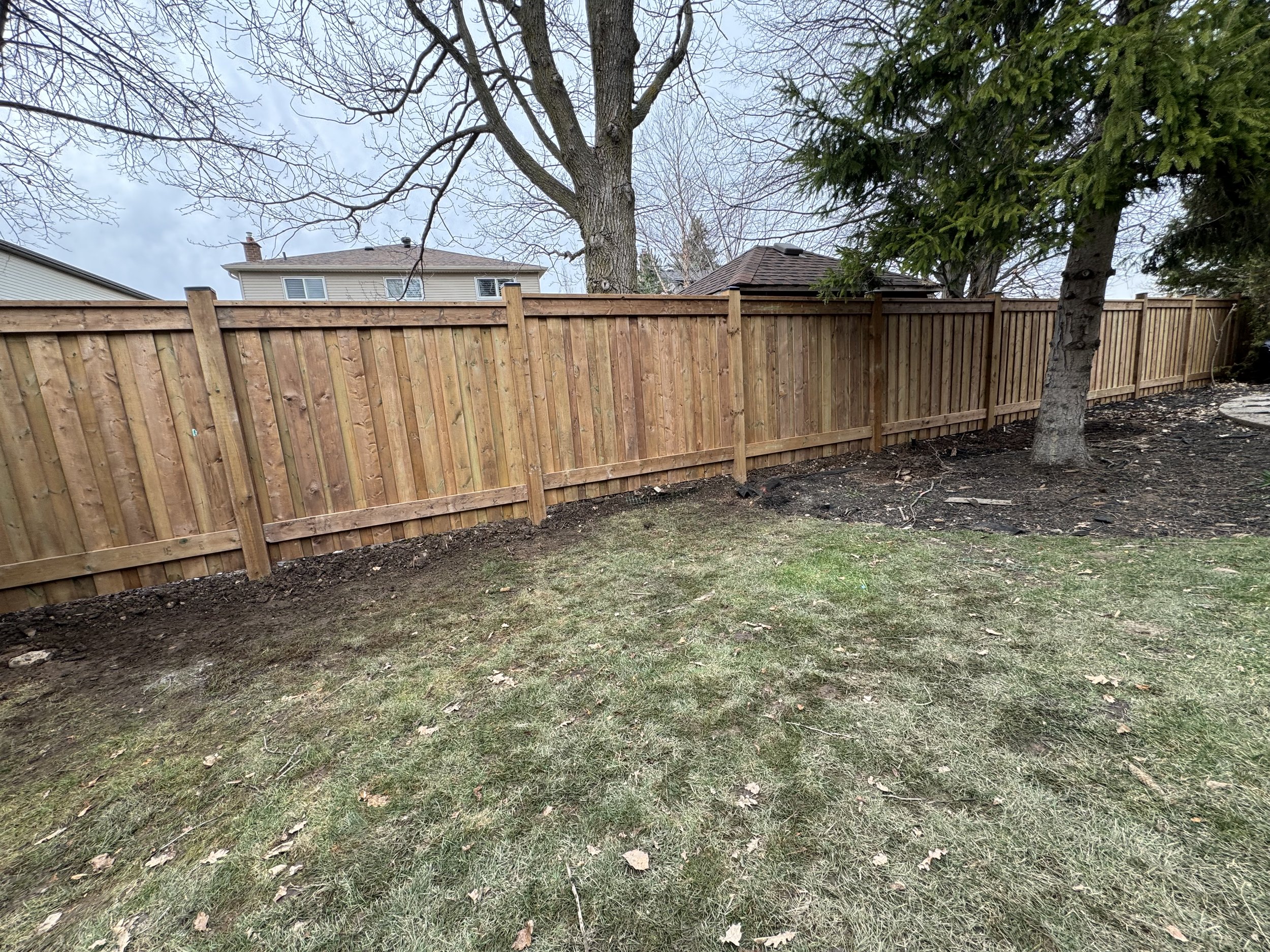 Backyard with wooden fence, grass, bare trees, and conifer