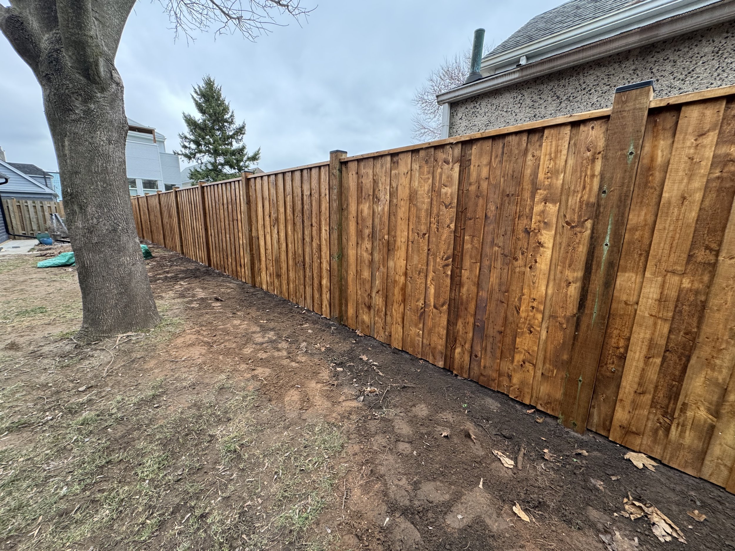 Wooden privacy fence in backyard with tree and grass