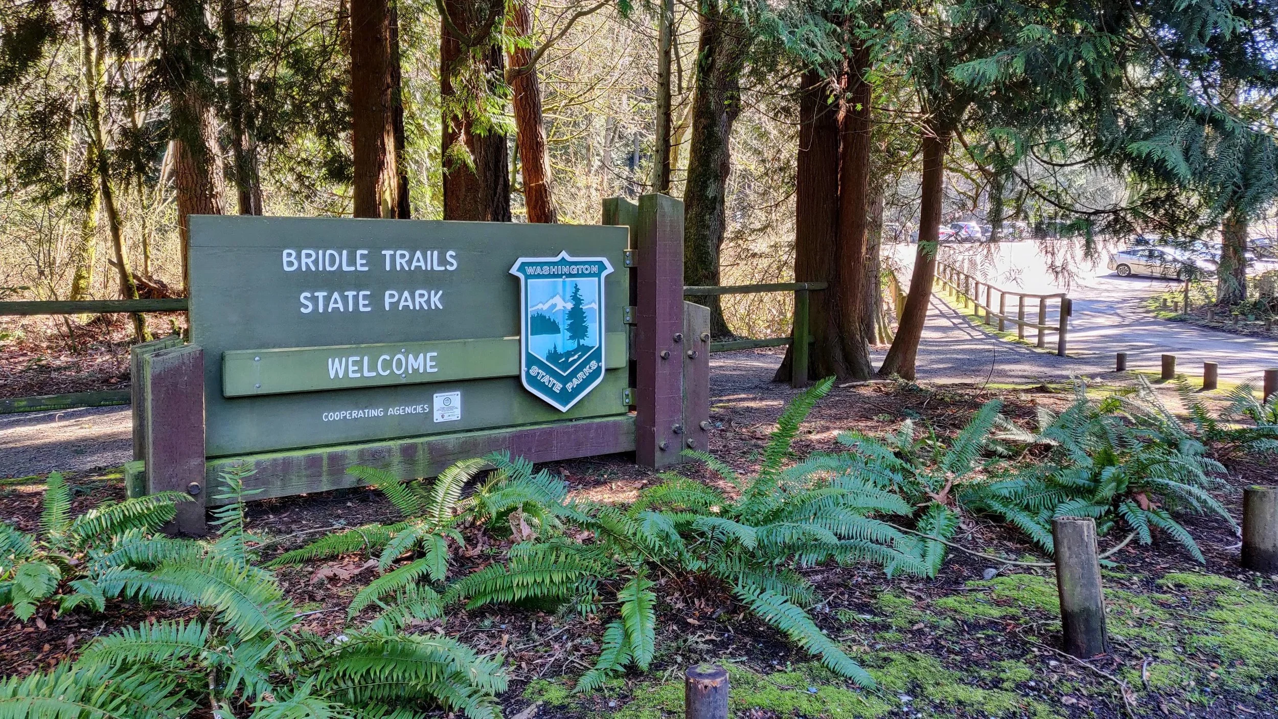 Bridle+Trails+State+Park+-+Pacific+North+Wanderers.jpg