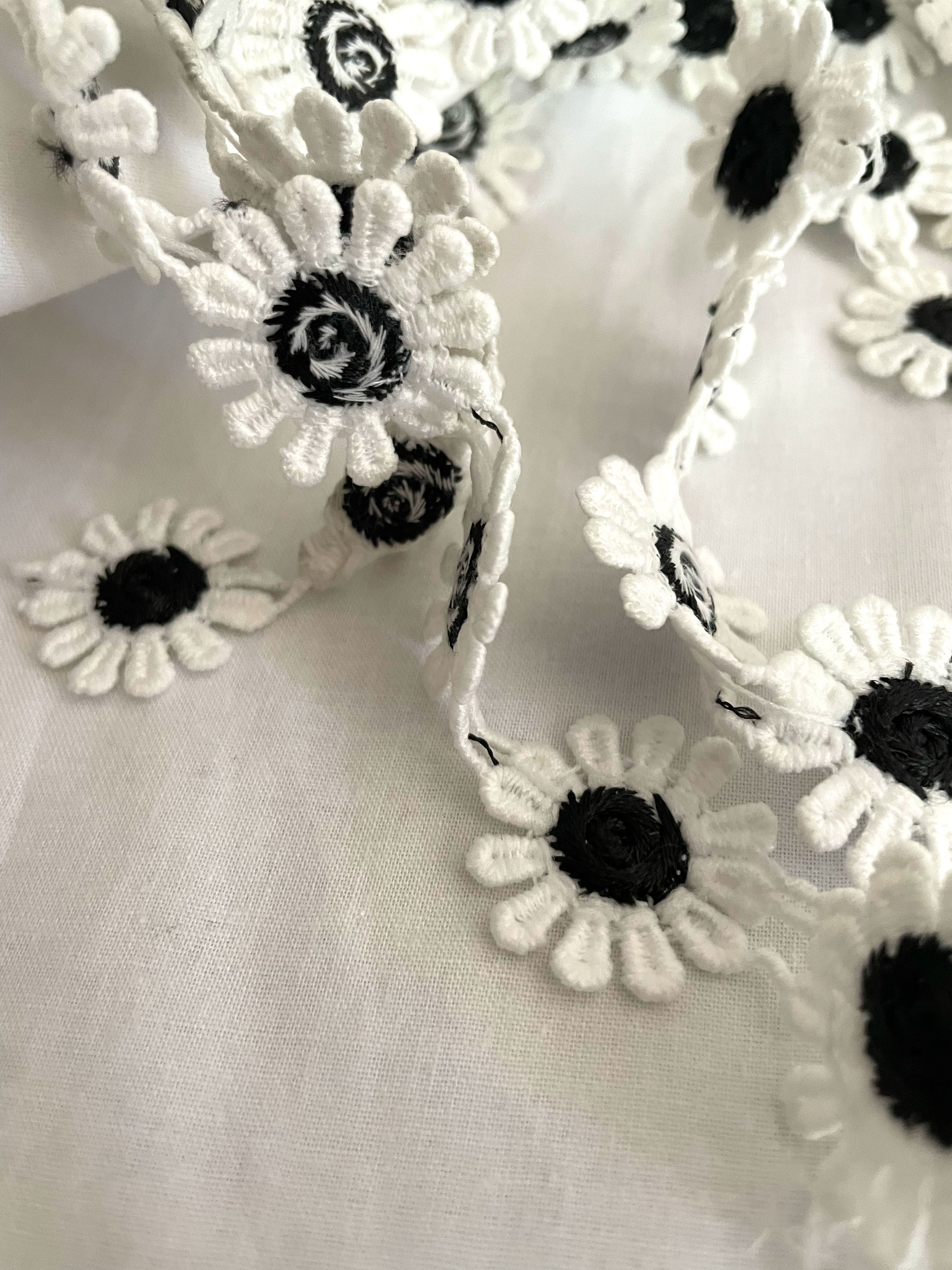 Daisies in black trim