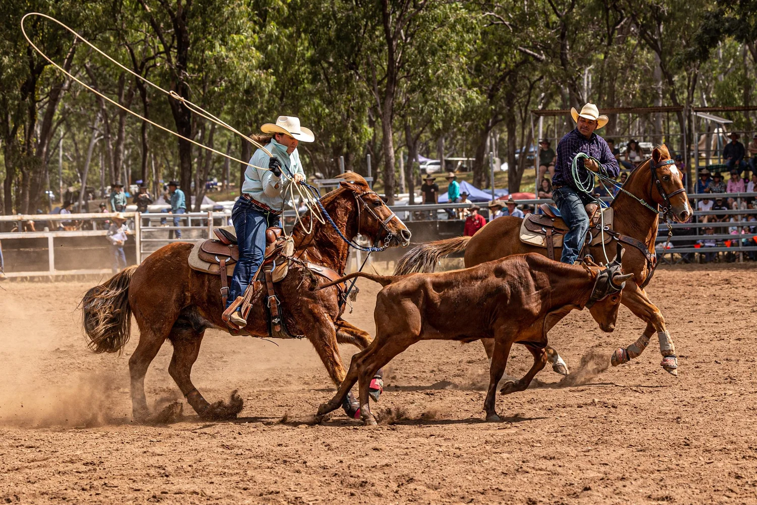 Referral Rodeo Program — Laura Rodeo & campdraft