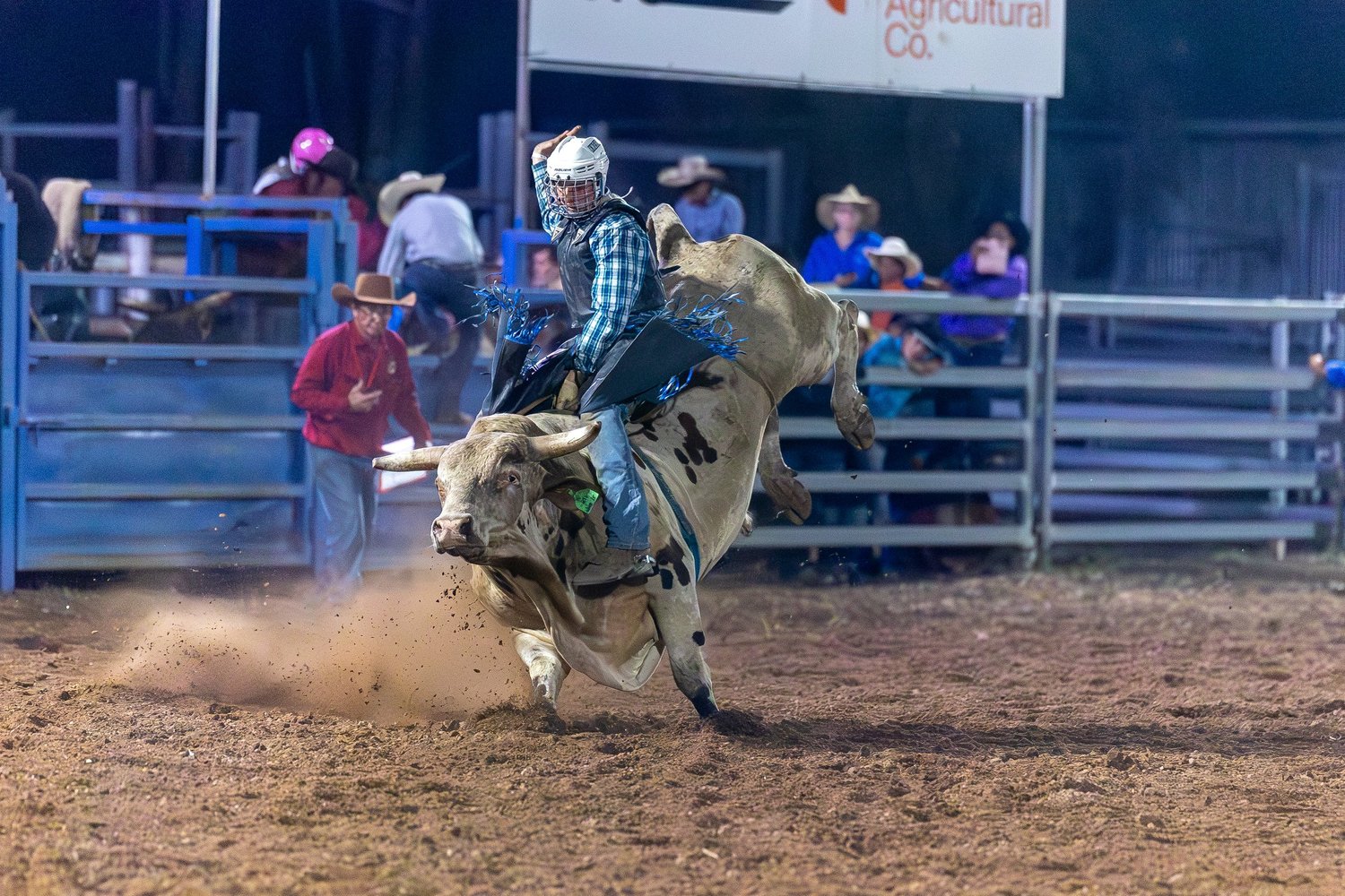 Laura Rodeo & campdraft