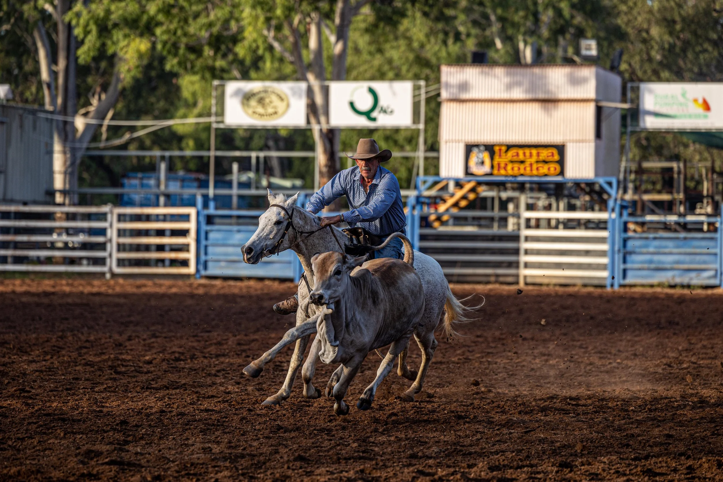 Laura Rodeo & campdraft