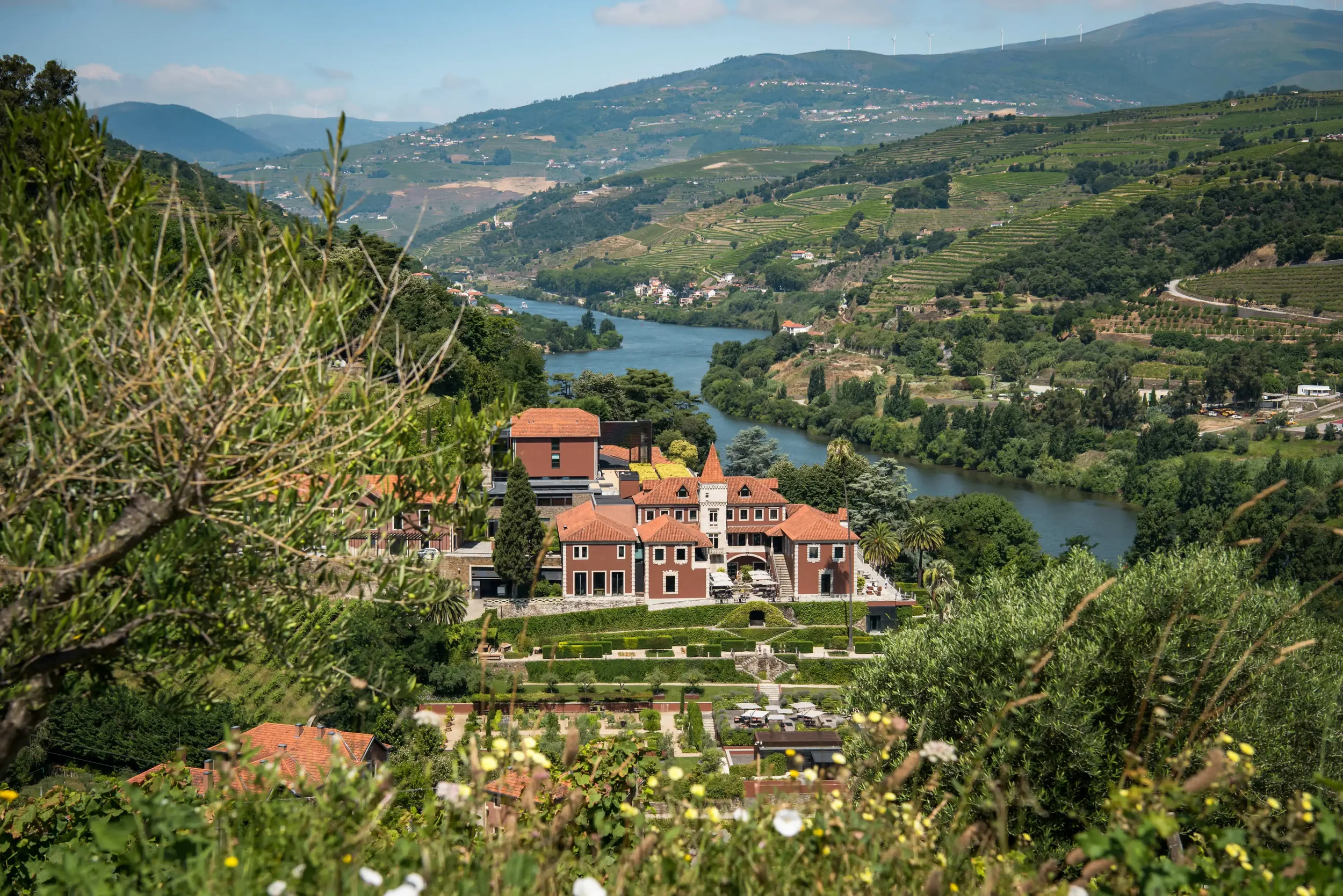 How to Experience Europe’s Wine Regions Like a Local