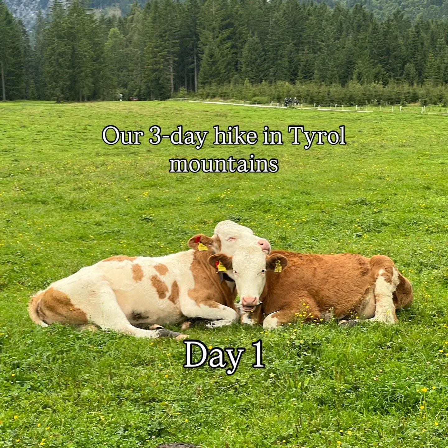 Day 1 of our multi-day hike at Tyrol Mountains! This was the first time any of us did multi-day hike where we have to walk the distance to get to where we will be staying. It was hard, but also so rewarding. Before starting, I genuinely was 60% excit