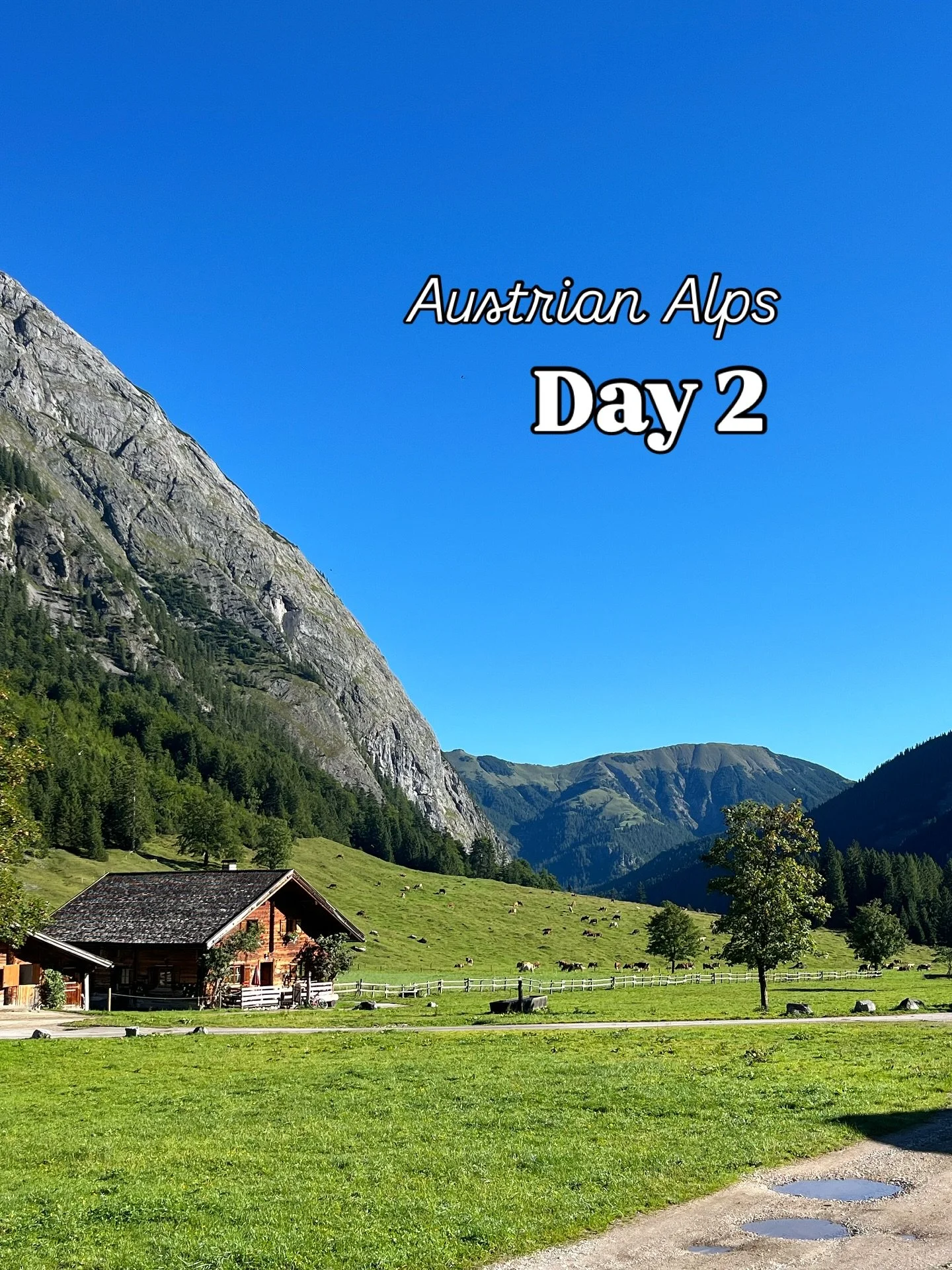 Our hike itinary in the Austrian Alps for Day 2 π It was so sunny and quite hard, but led to hilarious moments in the evening π³ .
.
.
.
#travel #tyrol #traveladvisor #wanderlust #bucketlisttravel #travelinspiration #exploretheworld #beautifuldestin