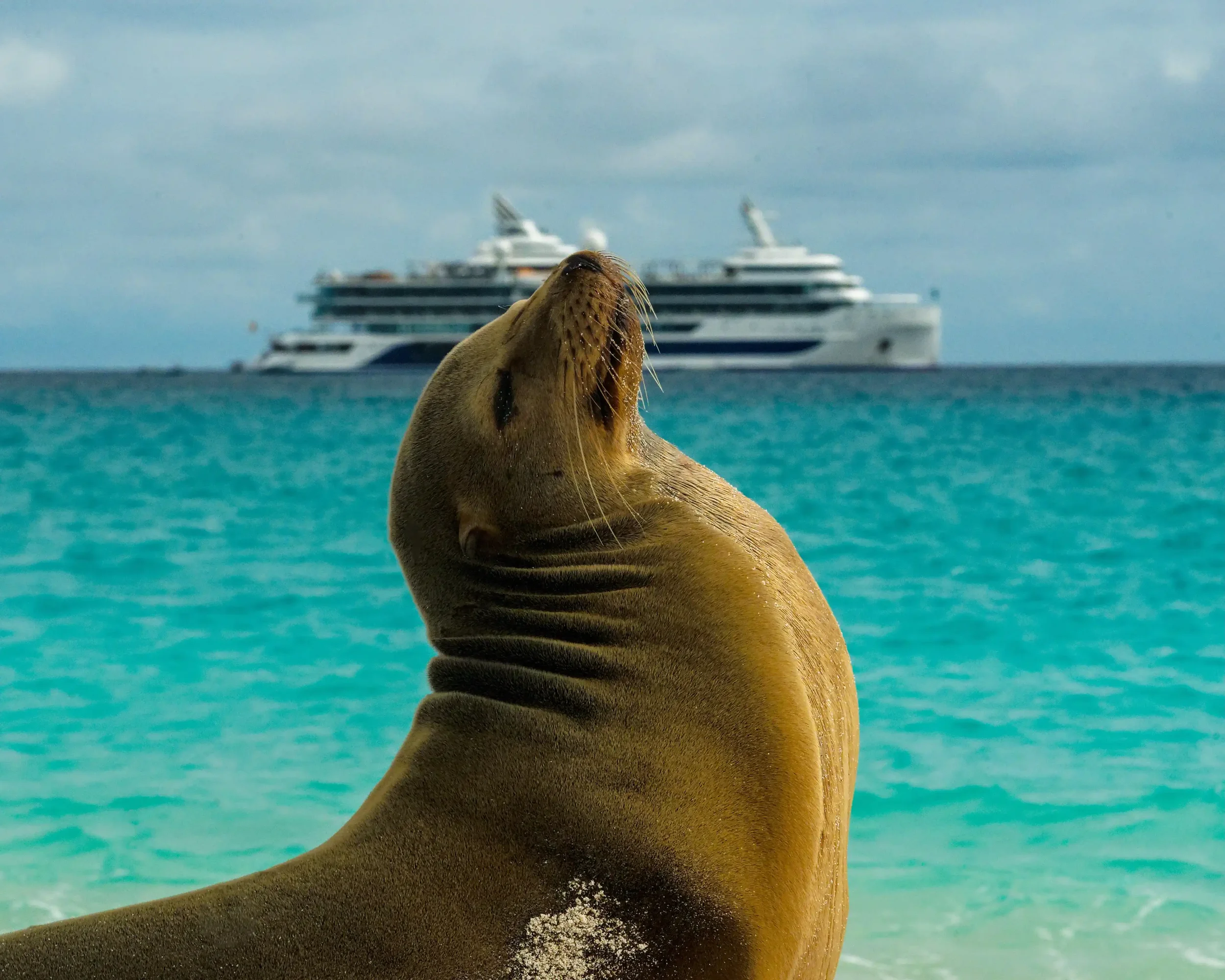 Insider's Guide to the Galápagos Islands