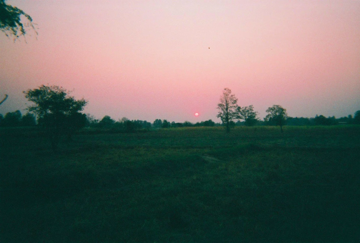 Trending This Year: YOLO Solo Adventures