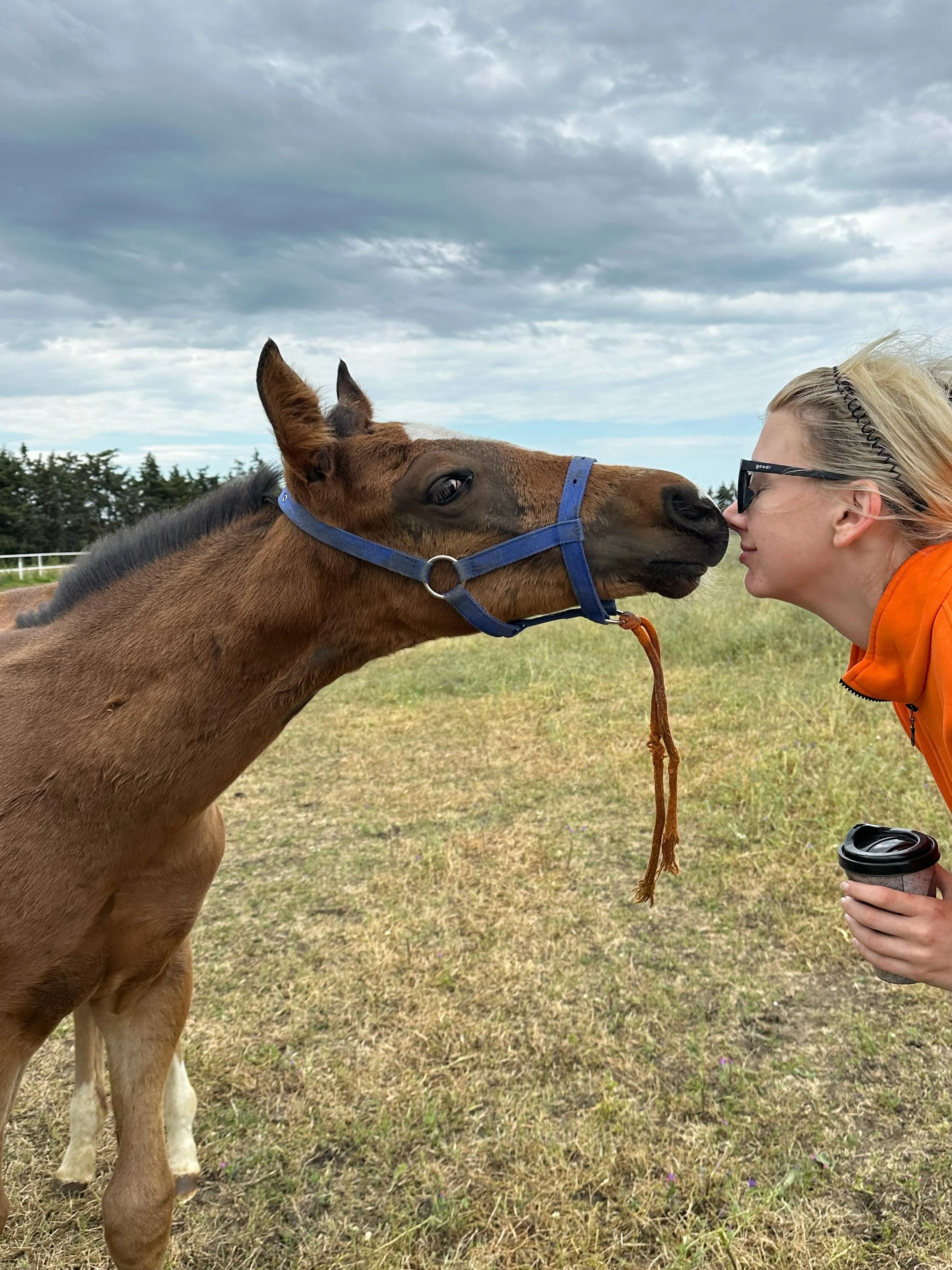Ah they grow up so fast🫶🐴 #horse