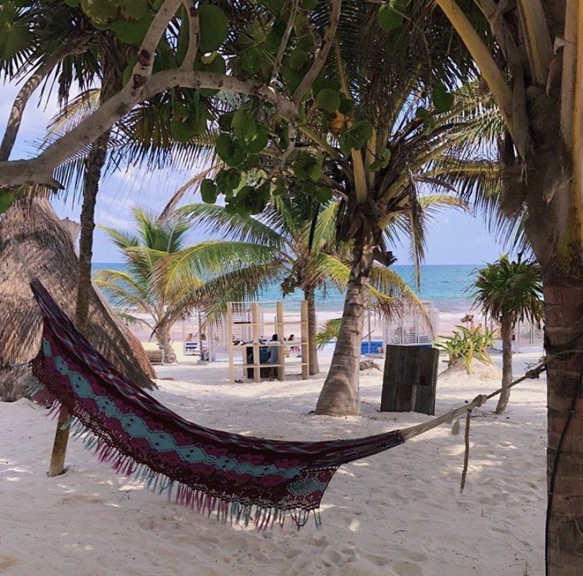 Hammock under palm trees on a sandy beach with ocean view
