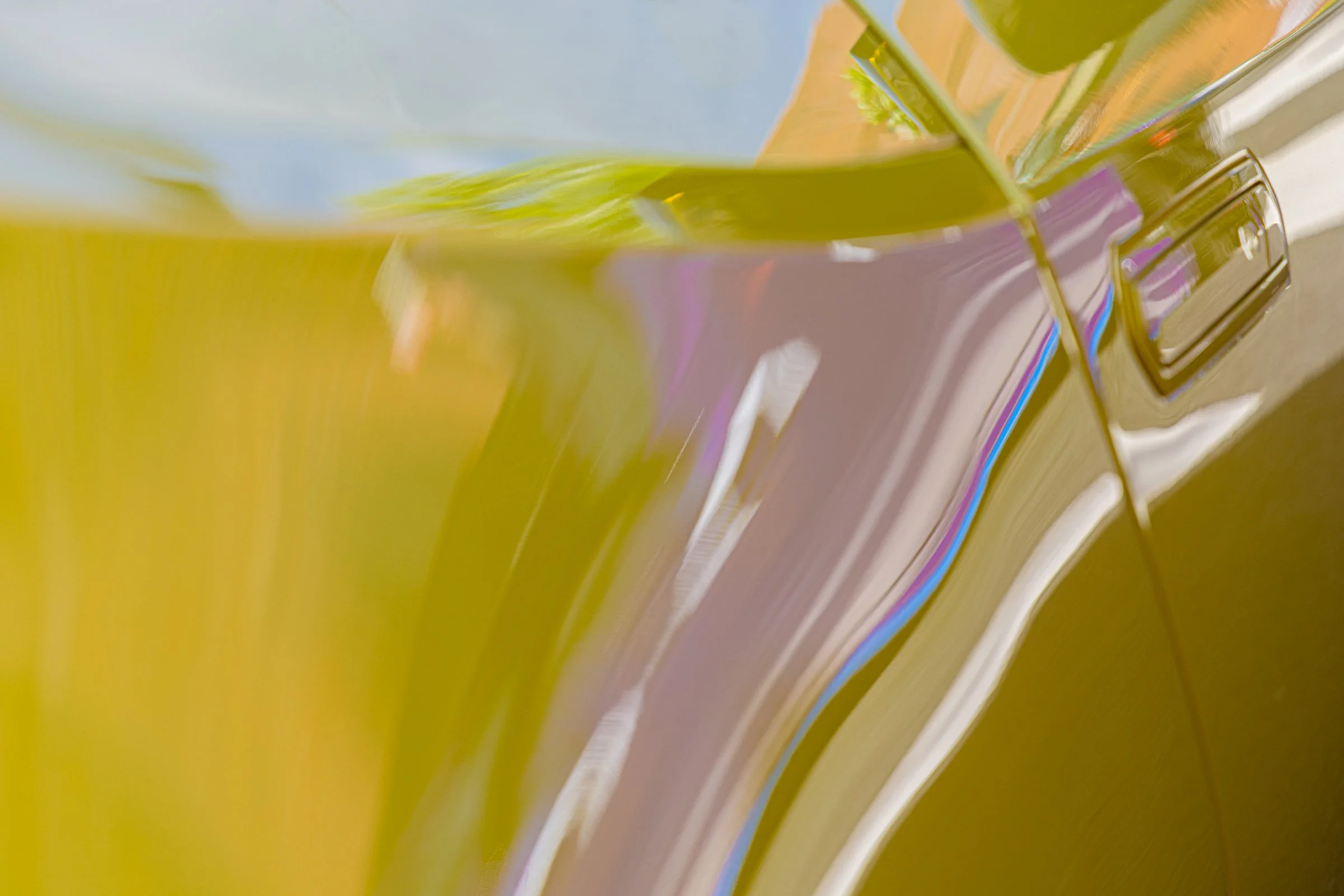 20240616-20240616-_TRU5346-2.jpg