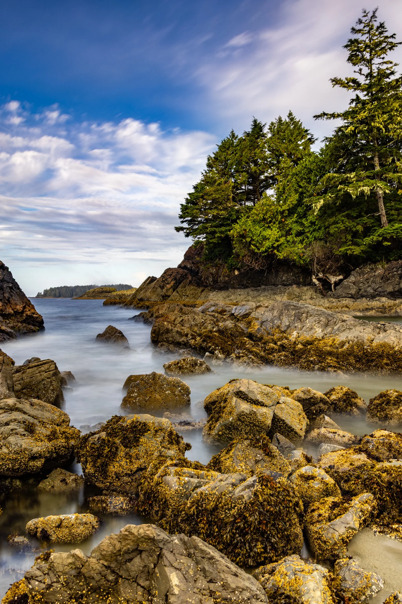 20240914-20240914-untitled shoot2024-51.jpg