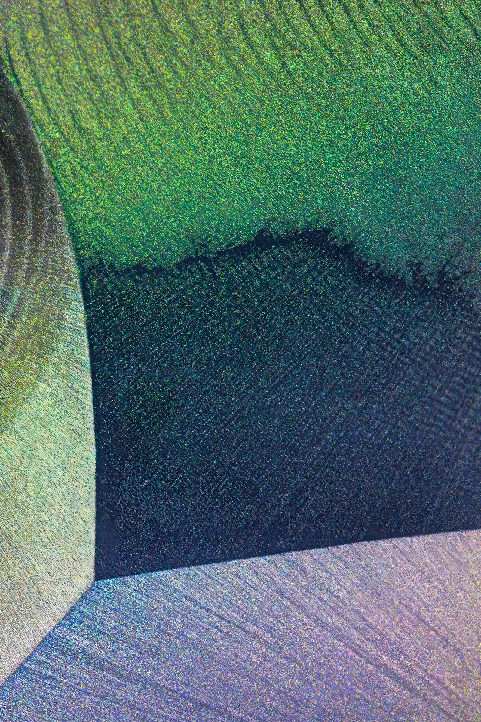 20230505-20230505-_TRU4569-2-Enhanced-NR-Edit.jpg
