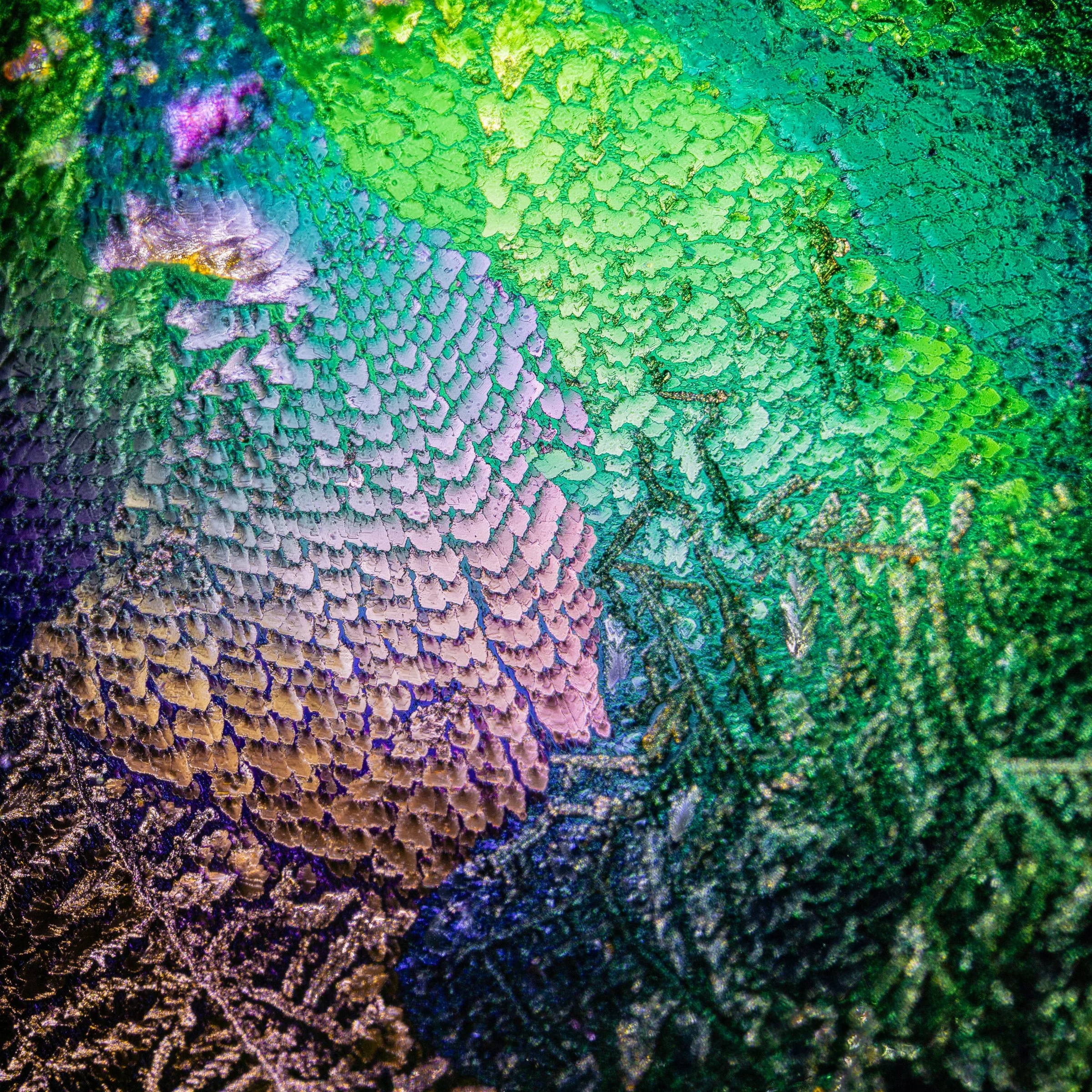 20230819-20230819-_TRU0738-2.jpg