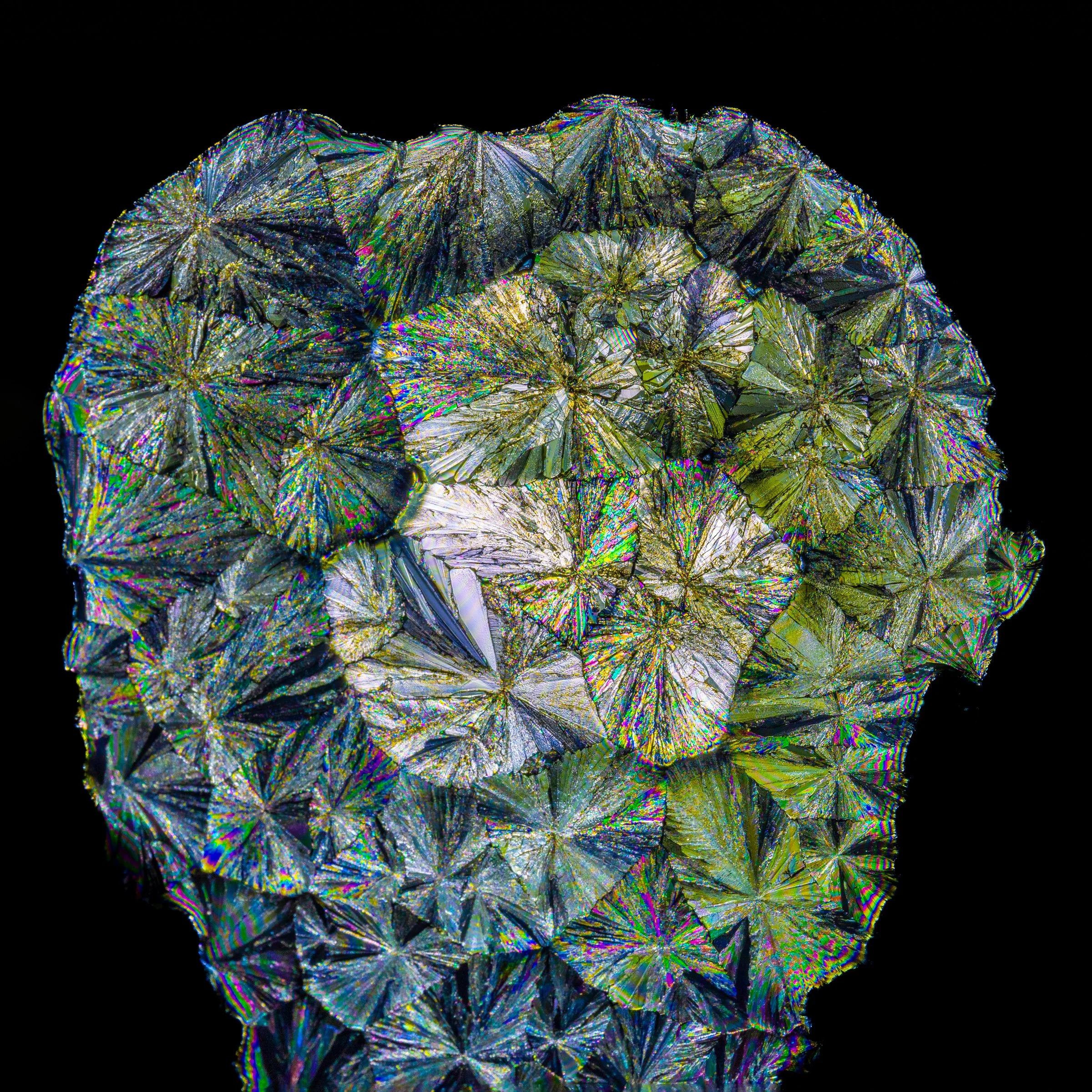 20240109-20240109-_TRU2028-2-Edit.jpg