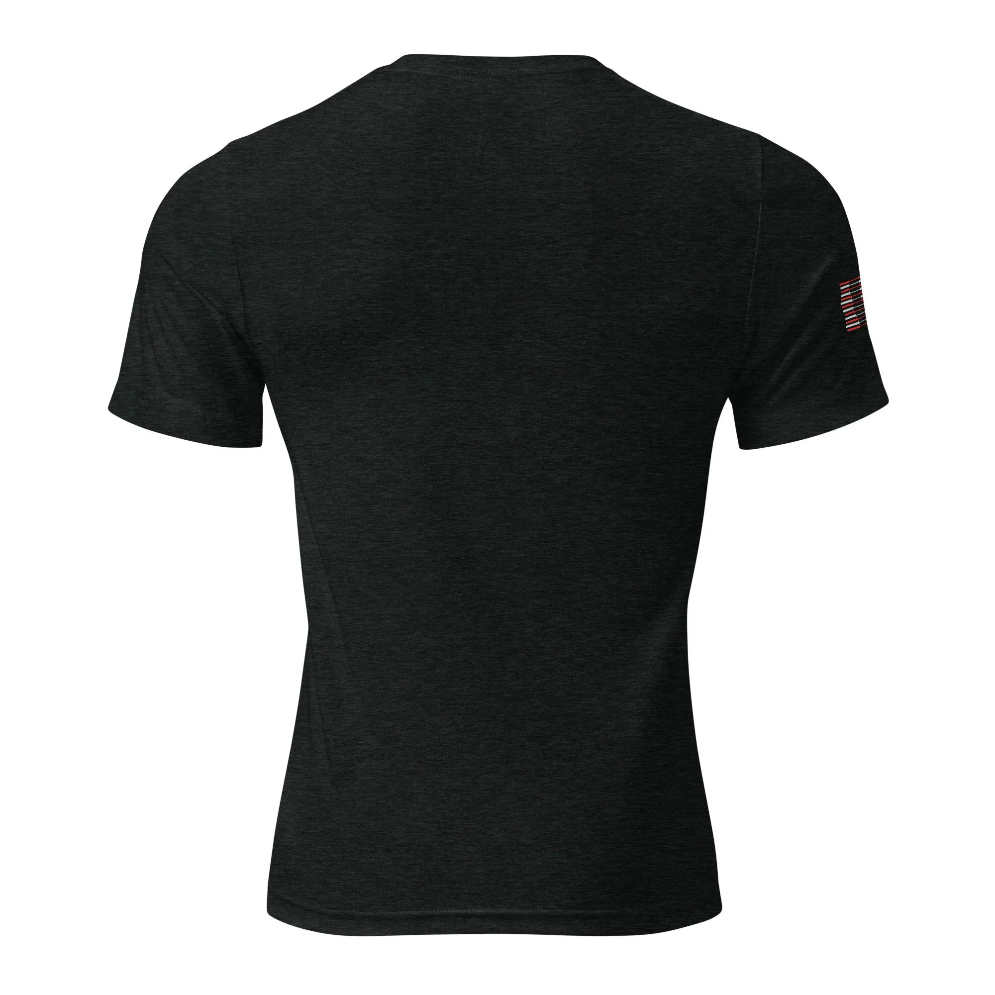 unisex-tri-blend-t-shirt-charcoal-black-triblend-back-6a09f83699f32.jpg