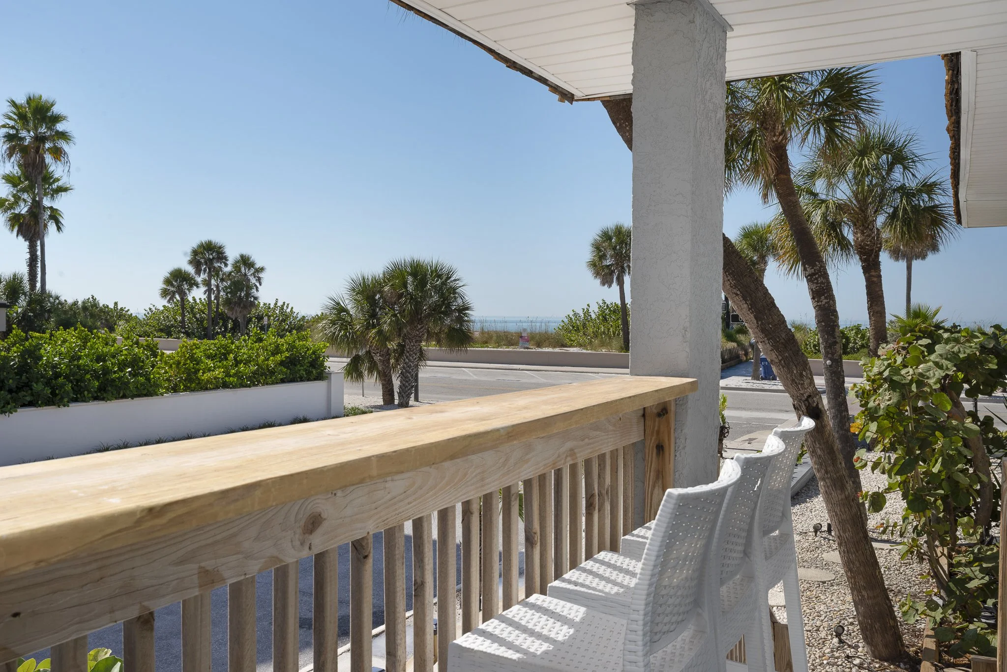 sabal 2048x1536-20.JPG