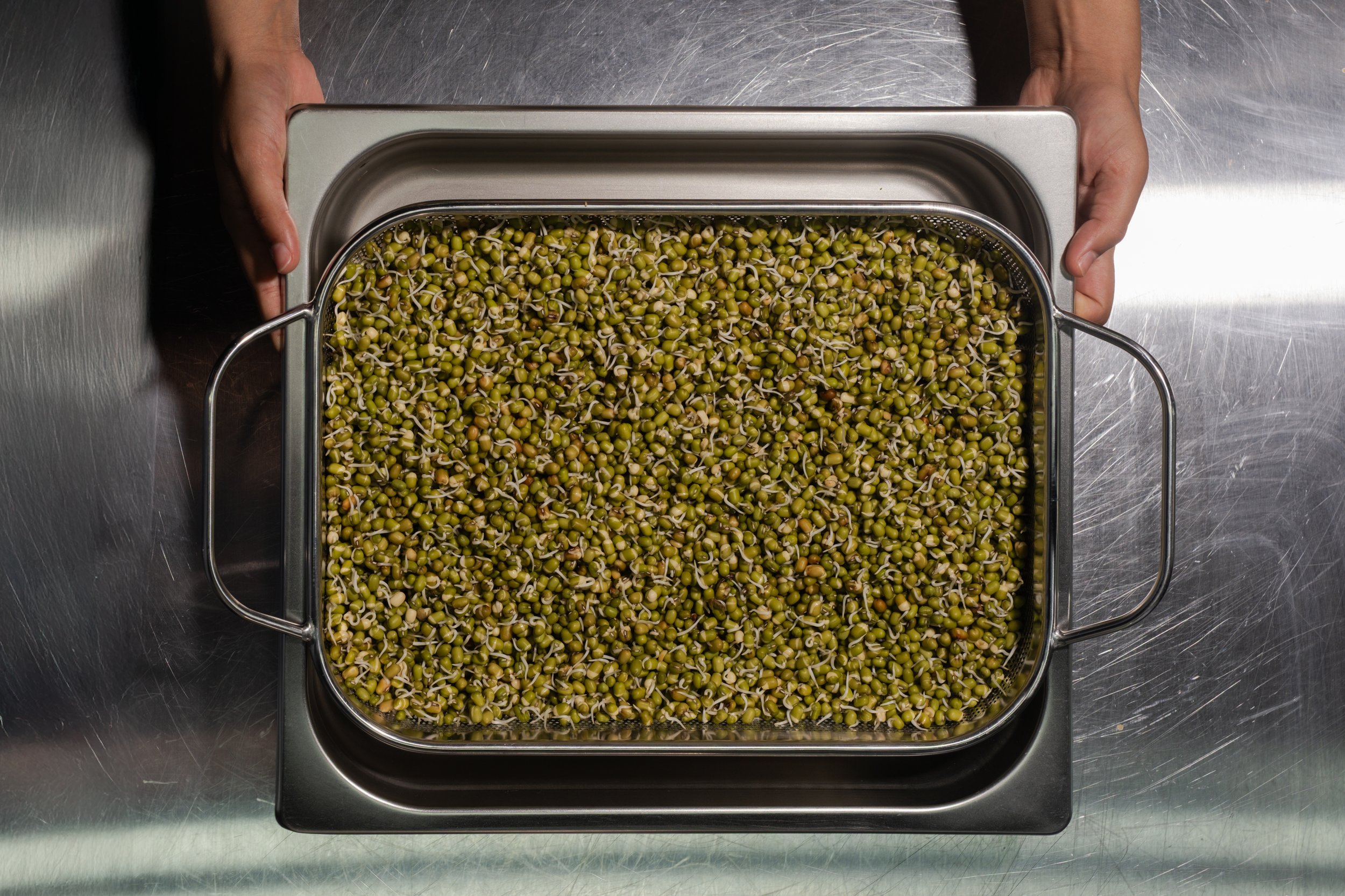 Sprouted vs Regular Legumes: Is There Really a Difference?