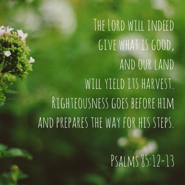 Psalms 85:12-13