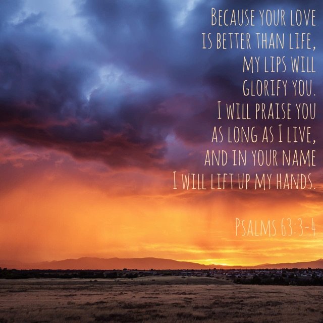 Psalms 63:3-4