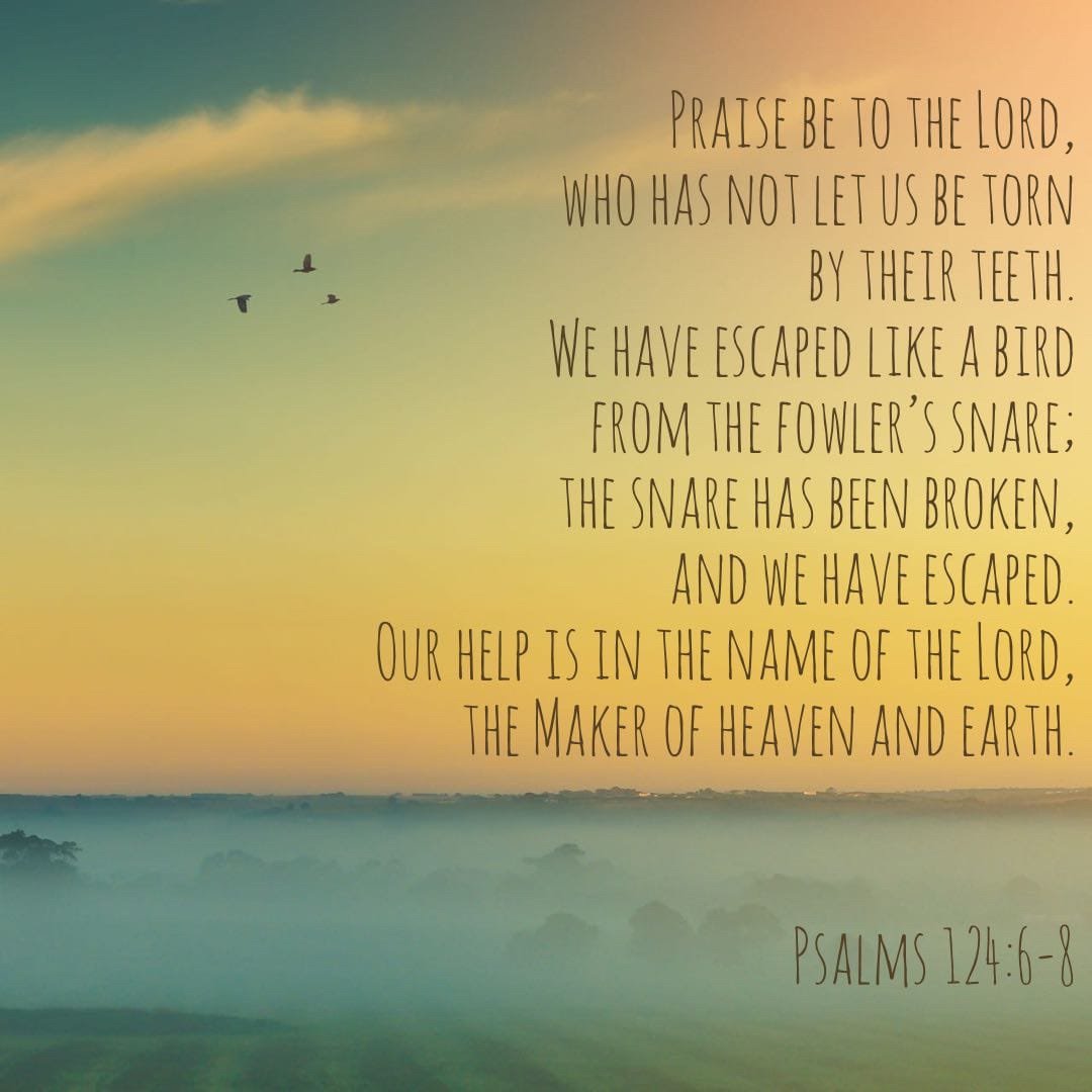 Psalms 124:6-8