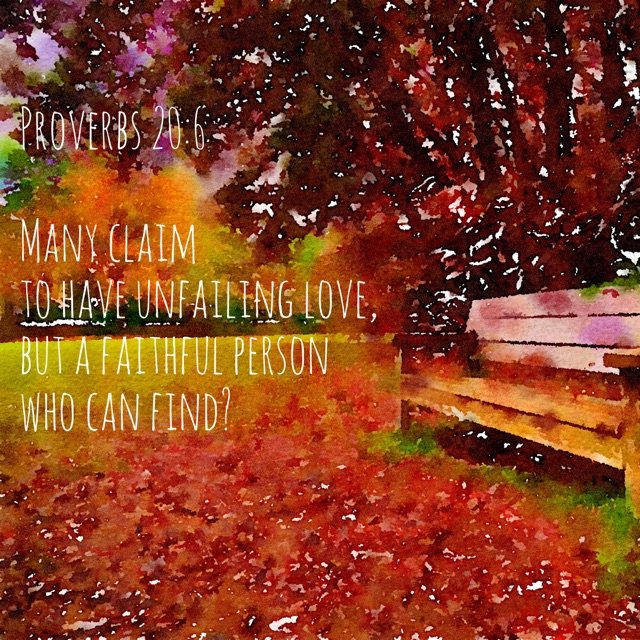 Proverbs 20:6