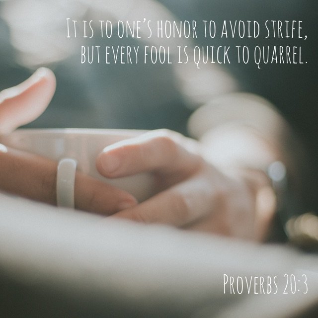 Proverbs 20:3