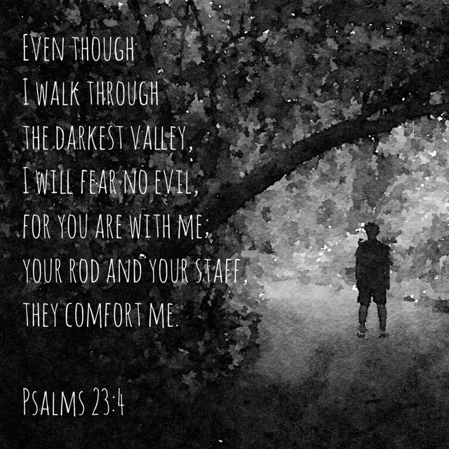 Psalms 23:4