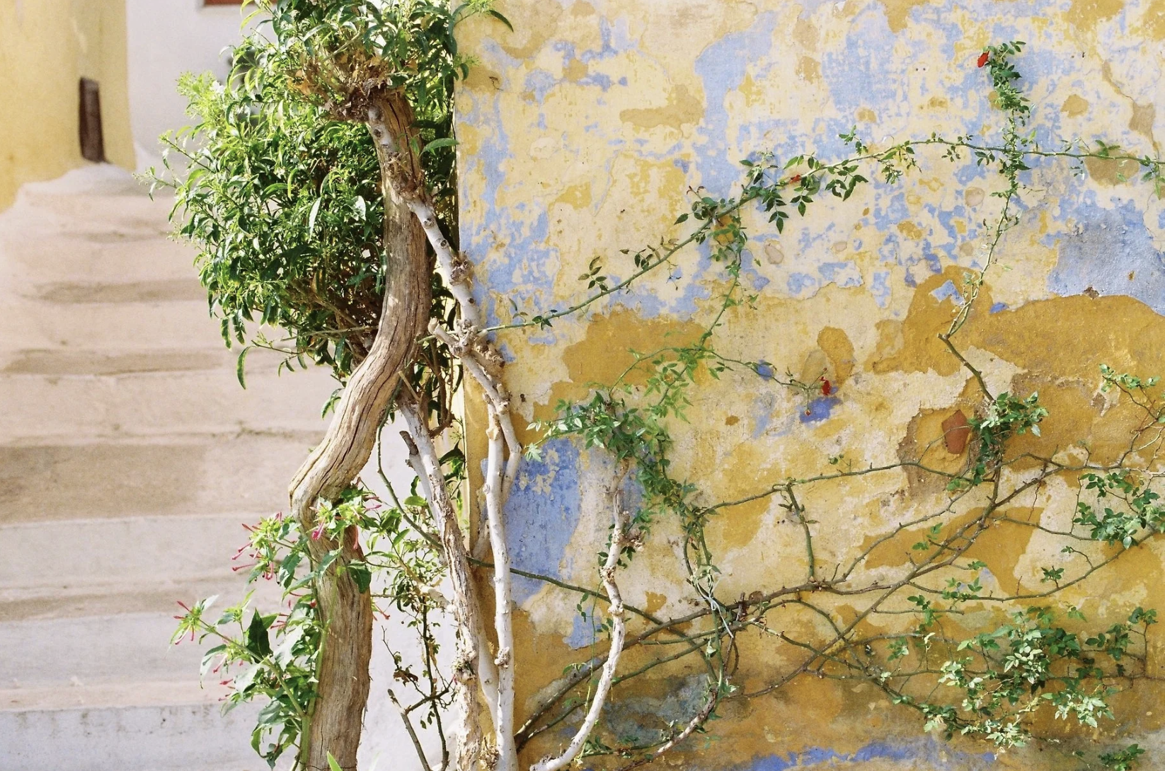 Screenshot 2025-12-19 at 10.41.41 PM.png