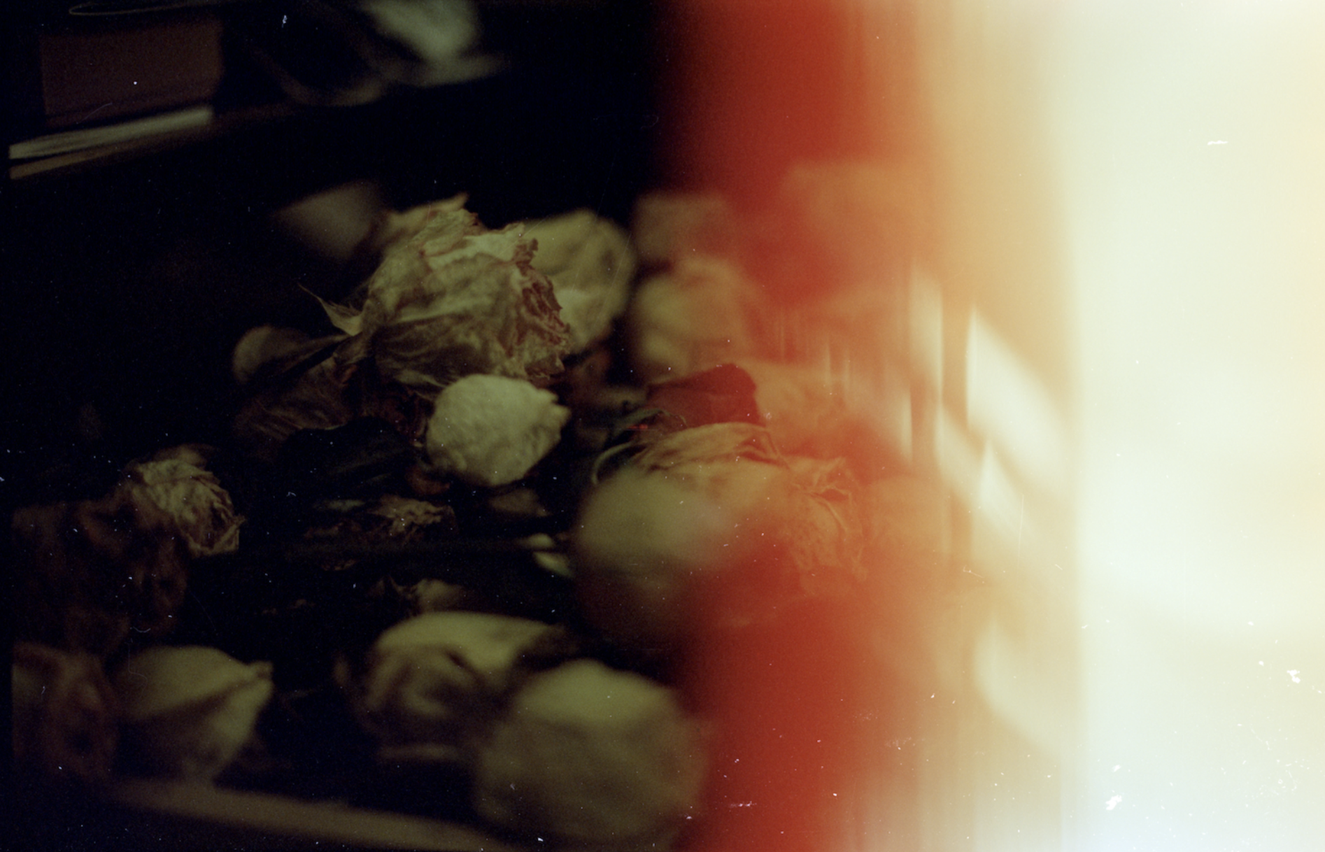 Screenshot 2025-05-03 at 5.20.36 PM.png