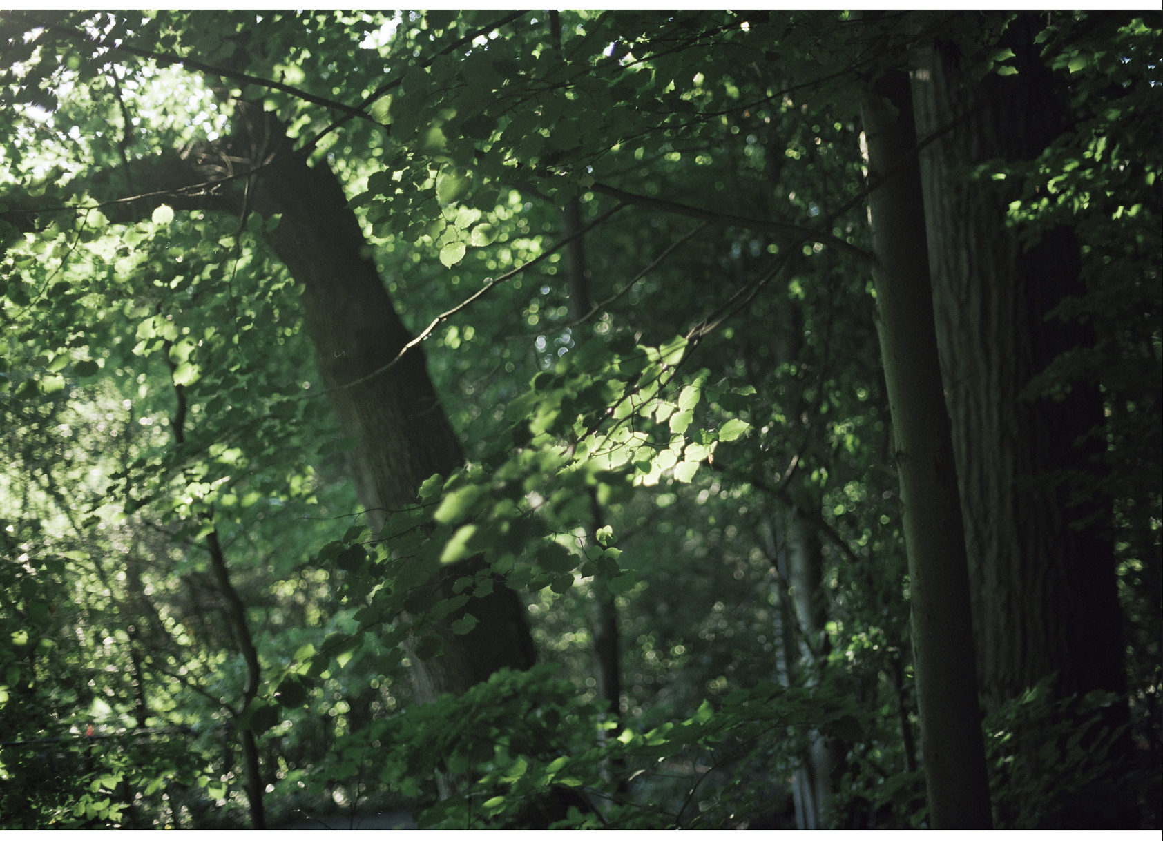 Screenshot 2025-05-03 at 5.08.53 PM.png