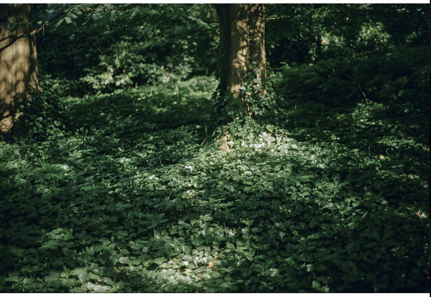 Screenshot 2025-05-03 at 5.09.16 PM.png