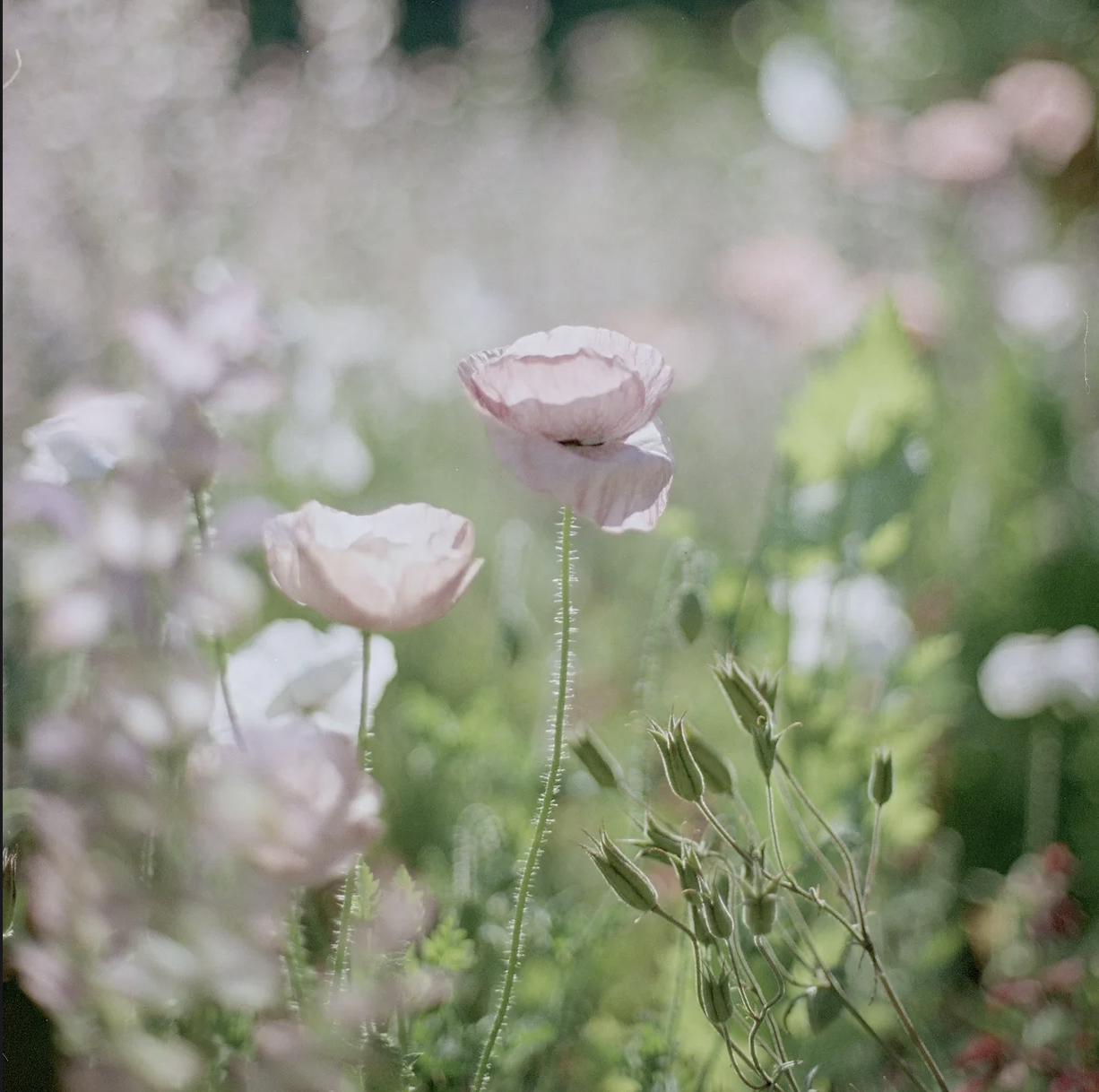 Screenshot 2025-05-03 at 5.08.42 PM.png