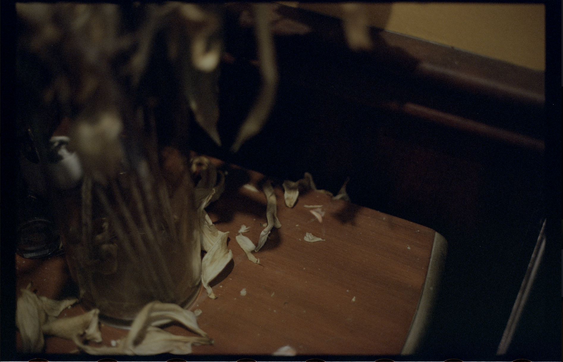 Screenshot 2025-05-03 at 5.20.31 PM.png