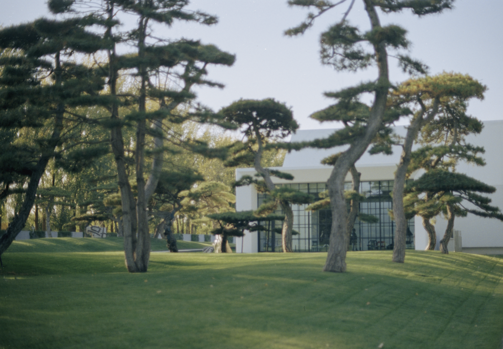 Screenshot 2025-05-03 at 4.45.33 PM.png