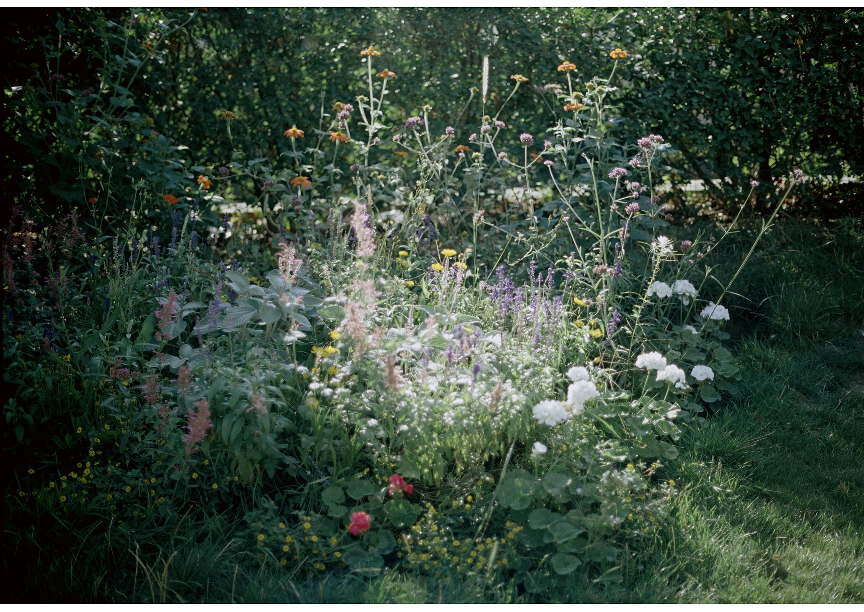 Screenshot 2025-05-03 at 5.08.02 PM.png