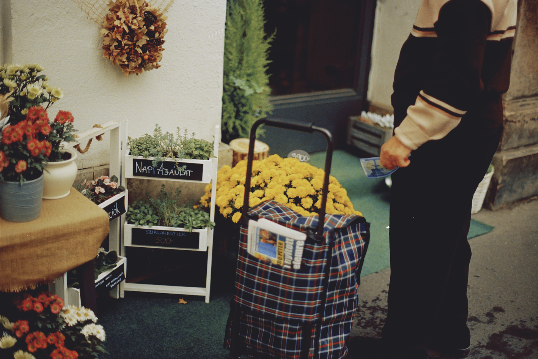 Screenshot 2025-05-03 at 5.19.00 PM.png