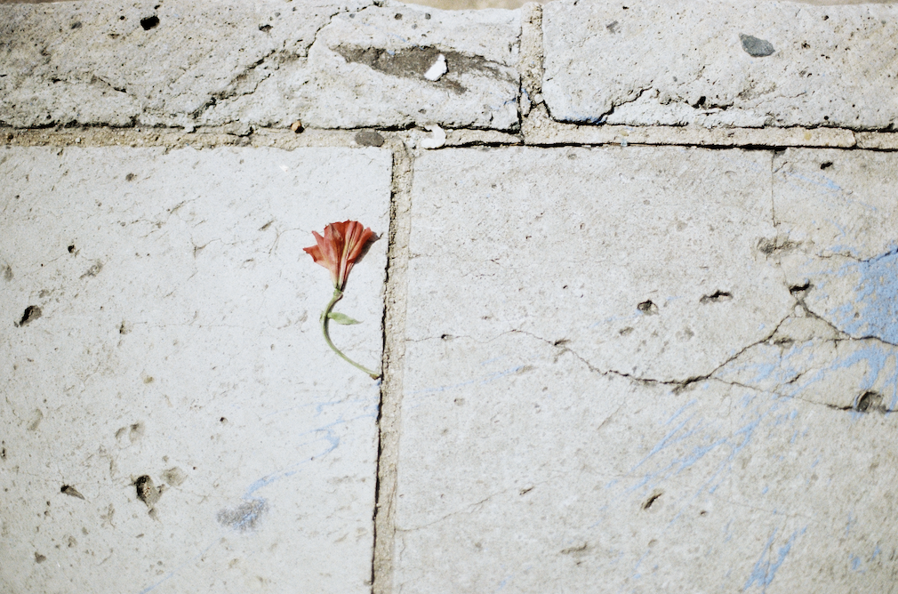 Screenshot 2025-12-19 at 11.01.37 PM.png