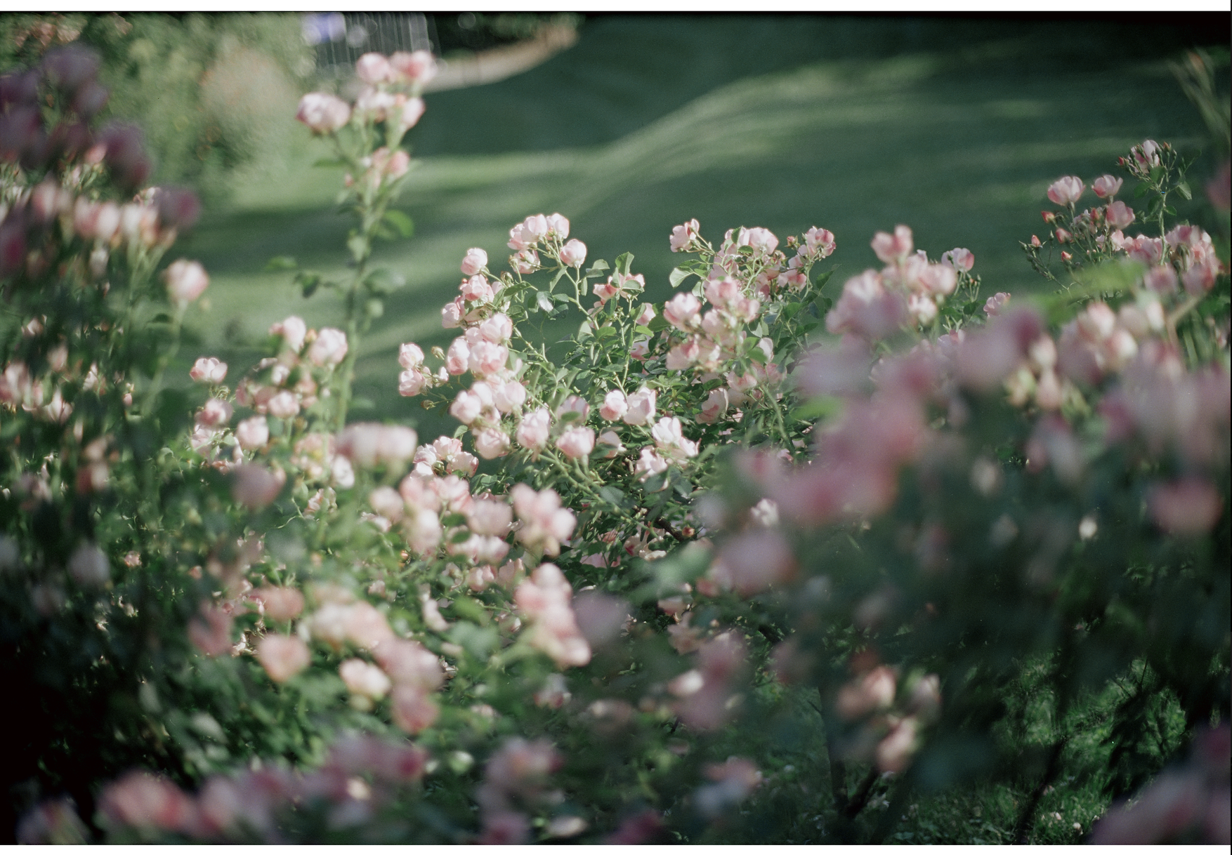 Screenshot 2025-05-03 at 4.43.34 PM.png