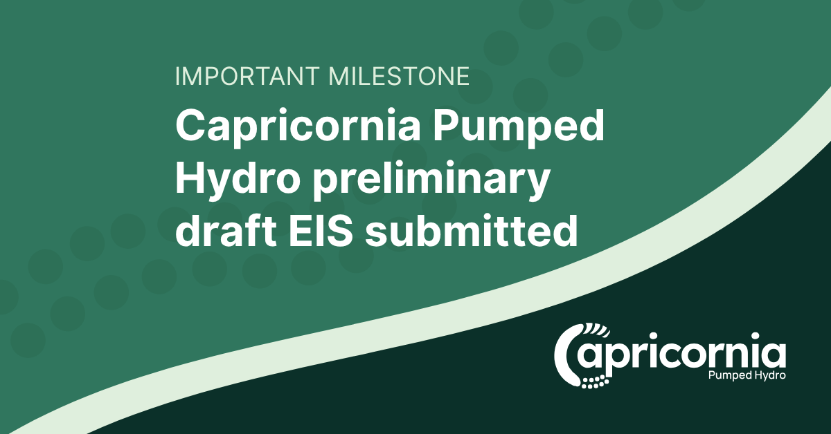 Preliminary draft EIS submitted for adequacy review