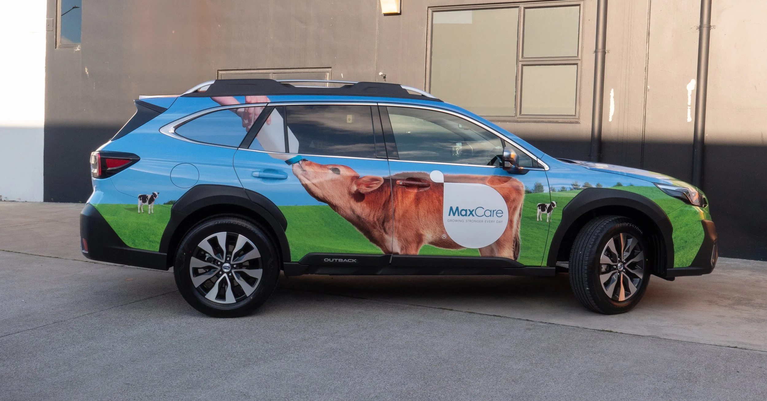 A car wrapped with farm scenery, featuring a brown cow, green grass, blue sky, and the MaxCare logo.