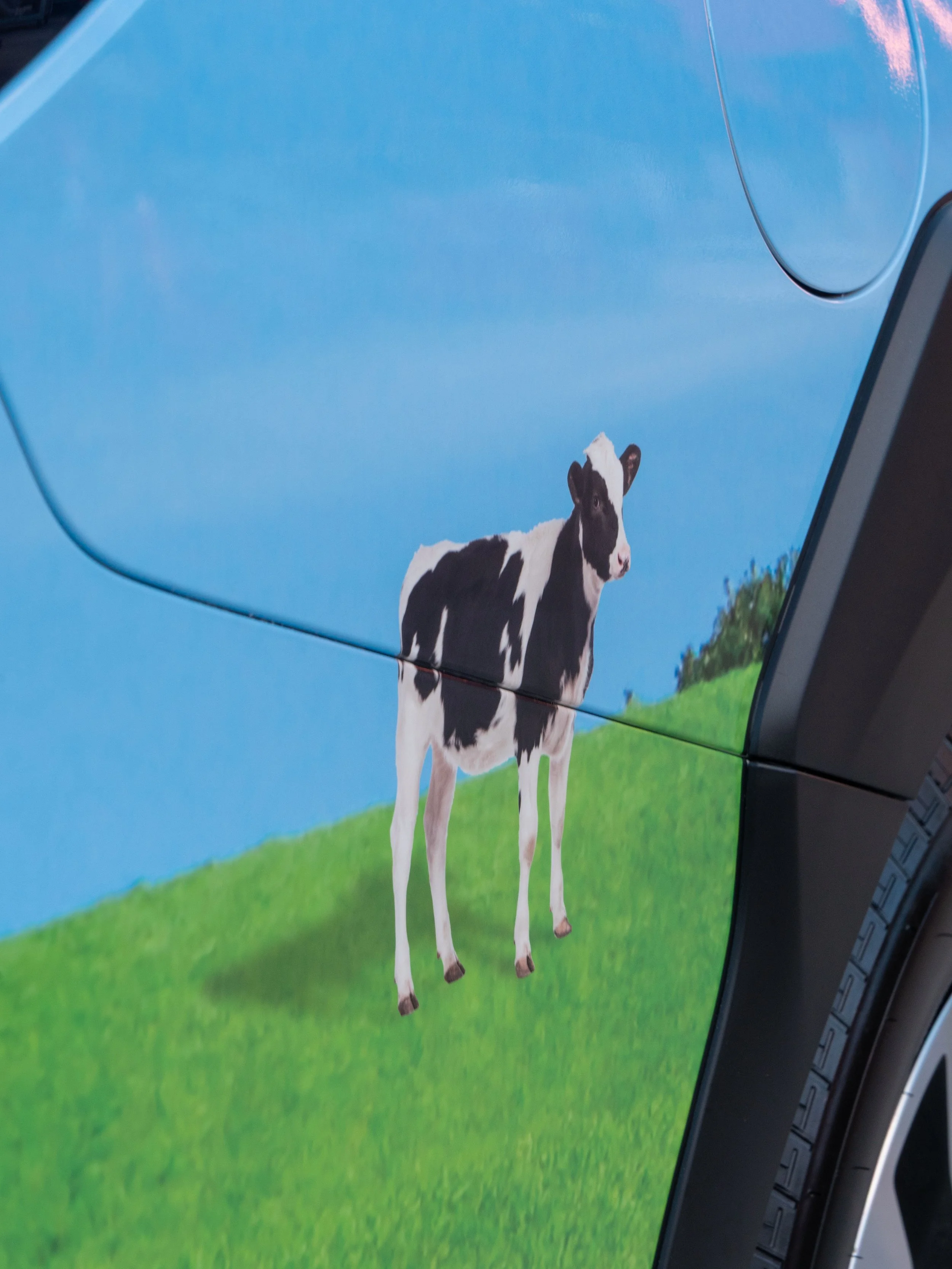 Close-up of a car door with a cow illustration on it, showing a black and white cow standing on green grass under a blue sky.