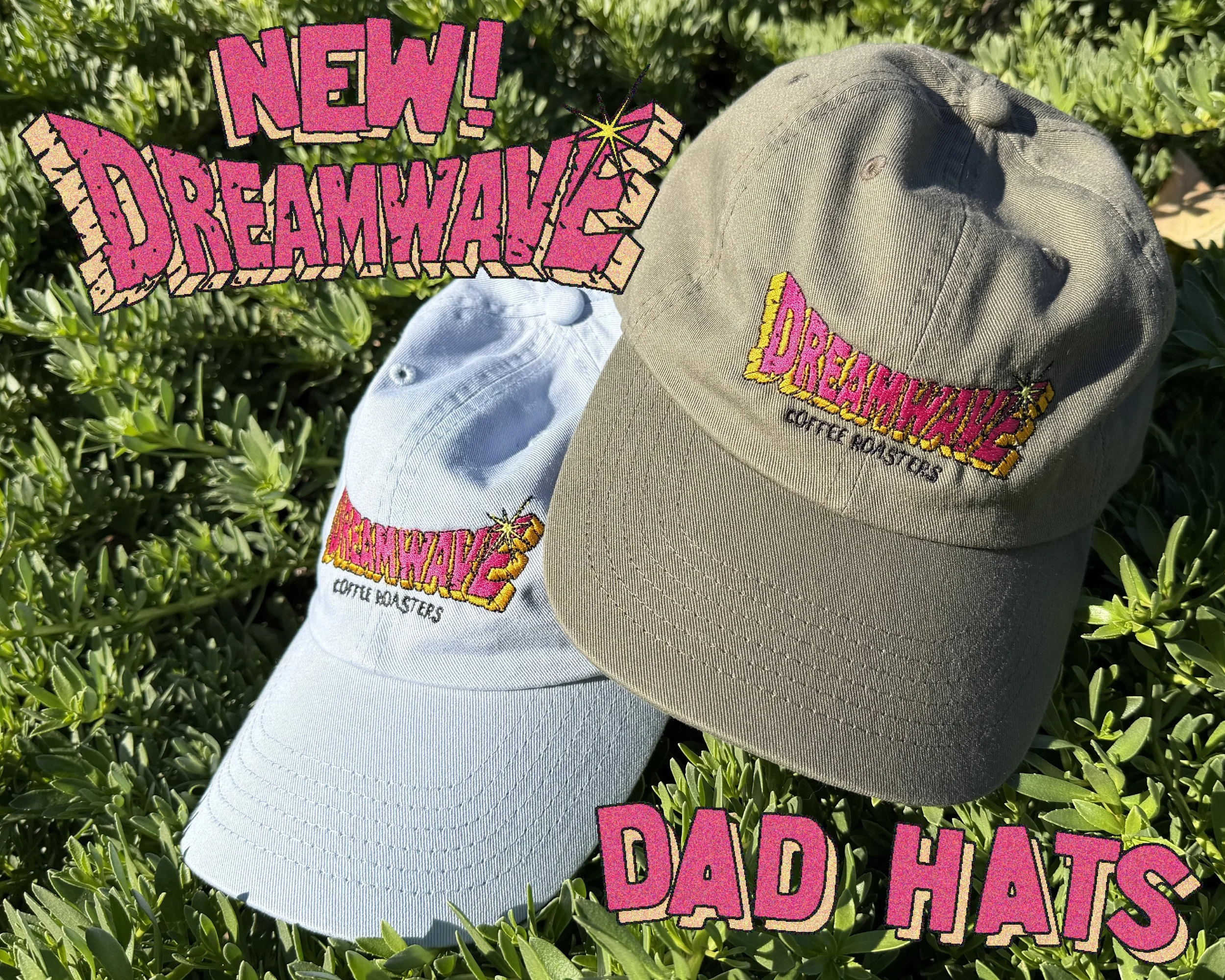 DW Dad Hats.jpg